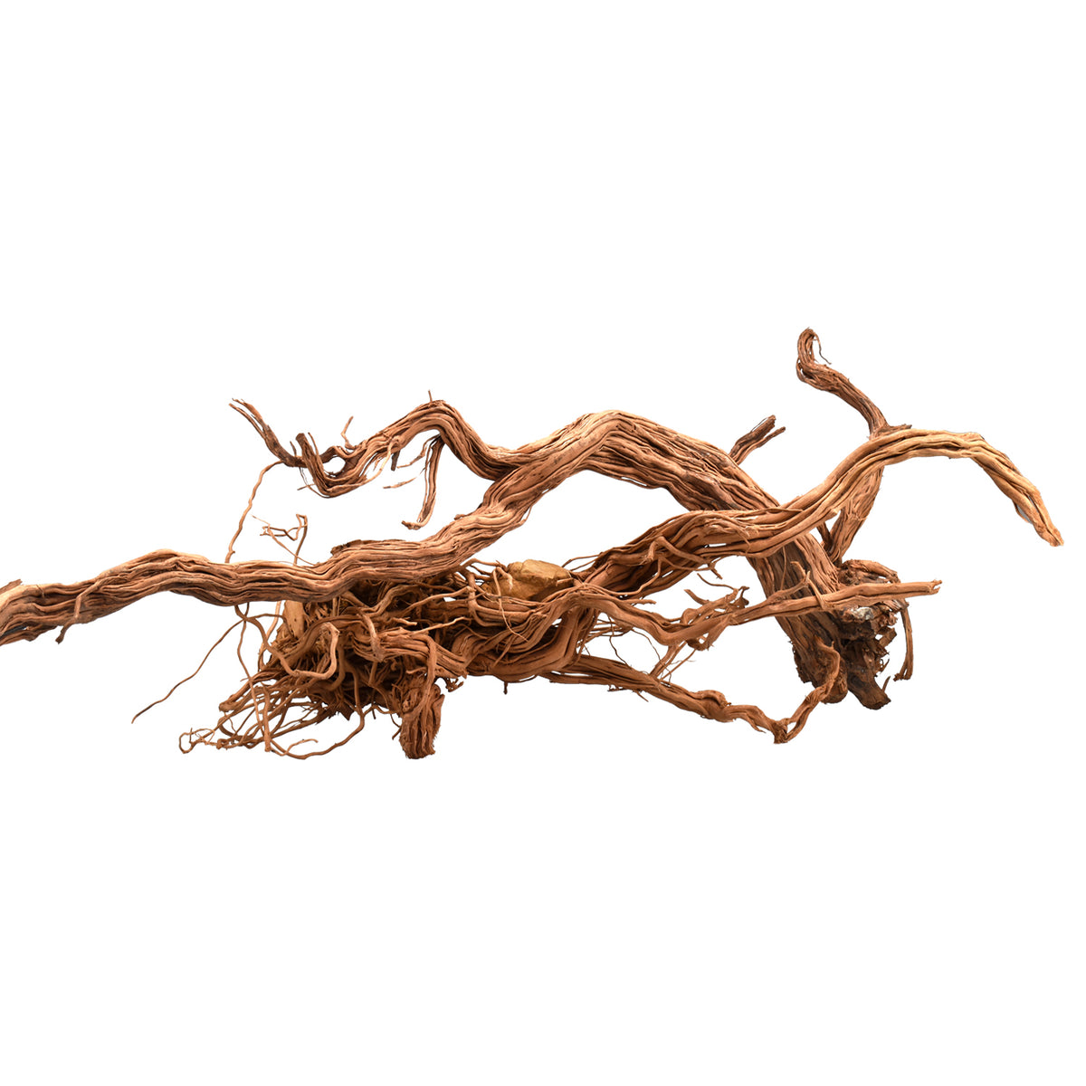 AQPET ZEN WOOD AZALEA DRAGON RAÍZ DE MADERA SELECTA
