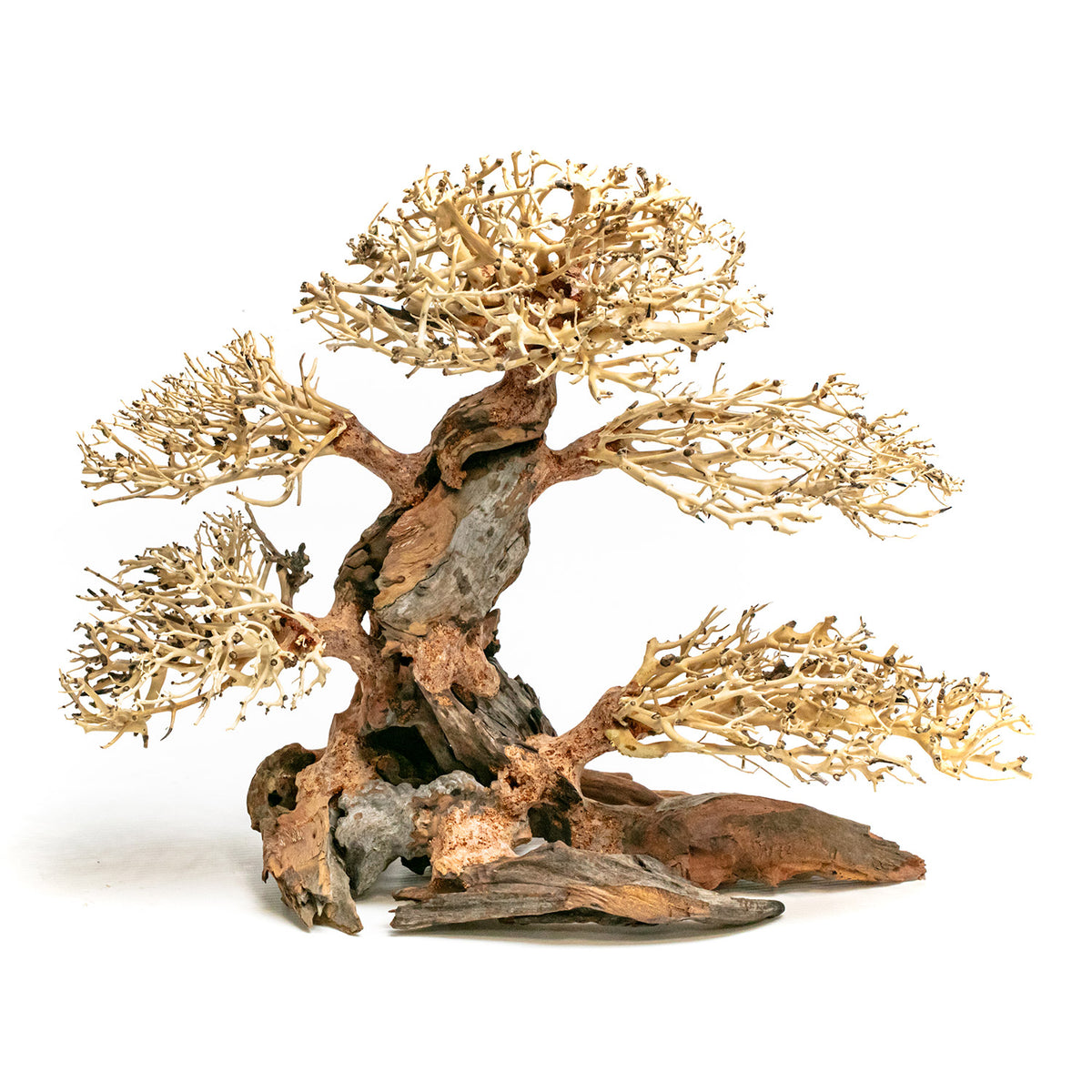 AQPET ZEN BONSAI MADERA