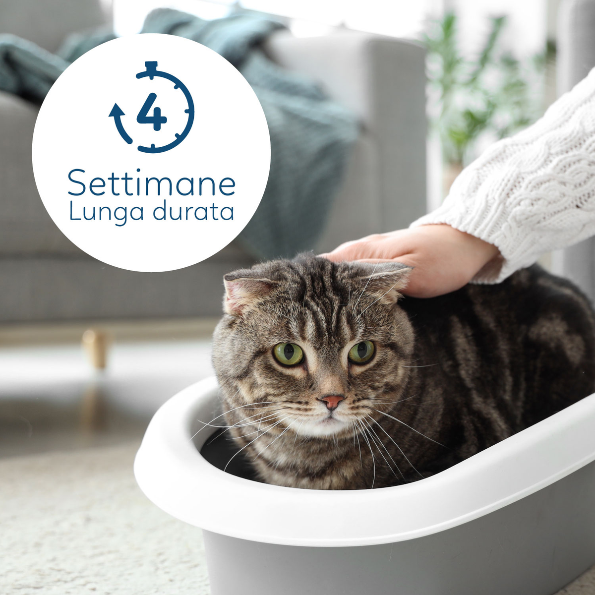 AQPET FRIENDS Bandeja sanitaria de sílice Catty con aroma a PH Check para gatos Súper absorbente Control de olores Higiene felina