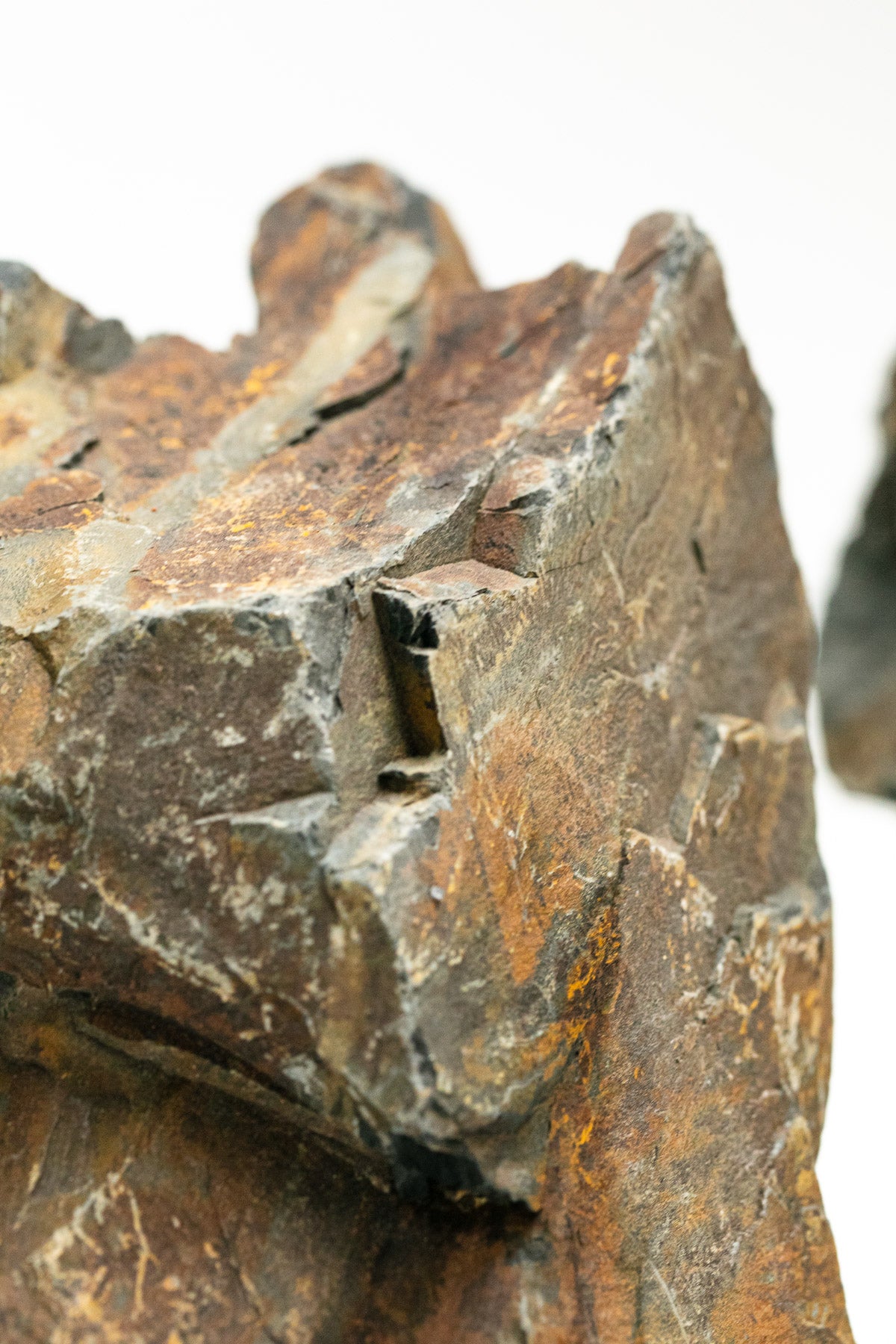 AQPET ZEN STONE ROCAS BOSQUE NEGRO (CONF.10KG MIXTO) 300GR /3 KG