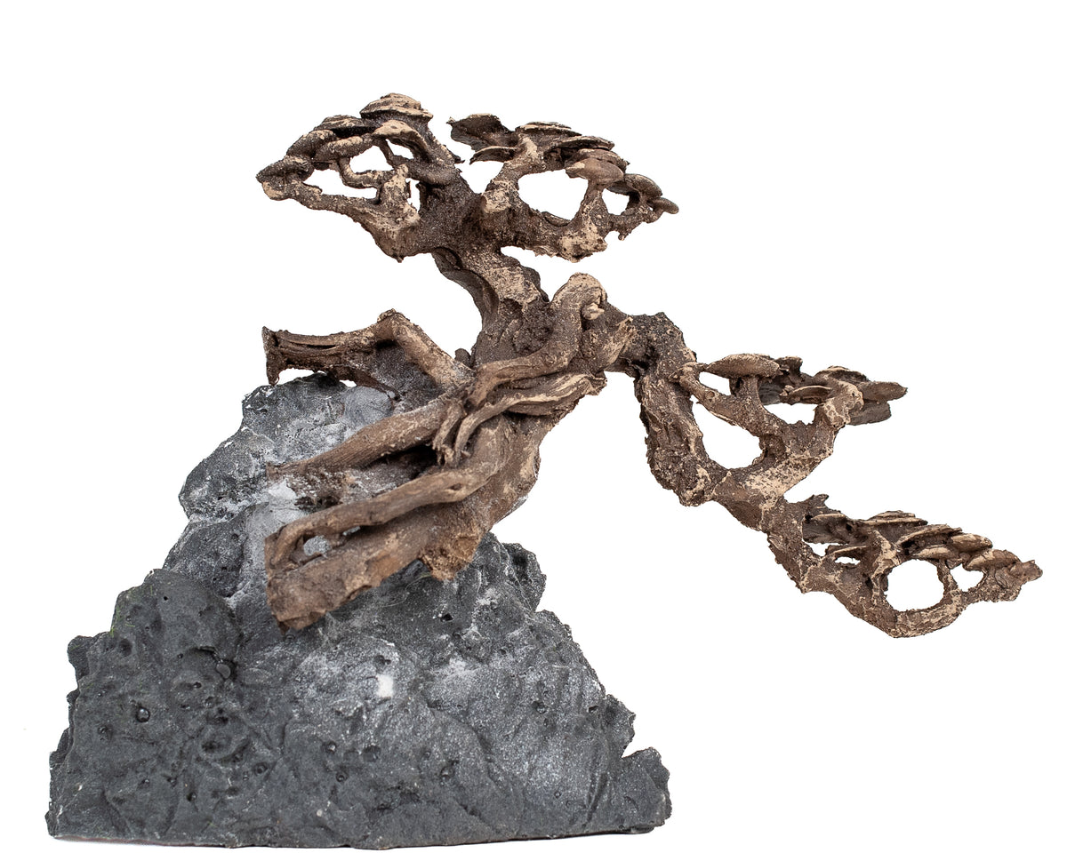 AQPET ZEN BONSAI DE RESINA 11