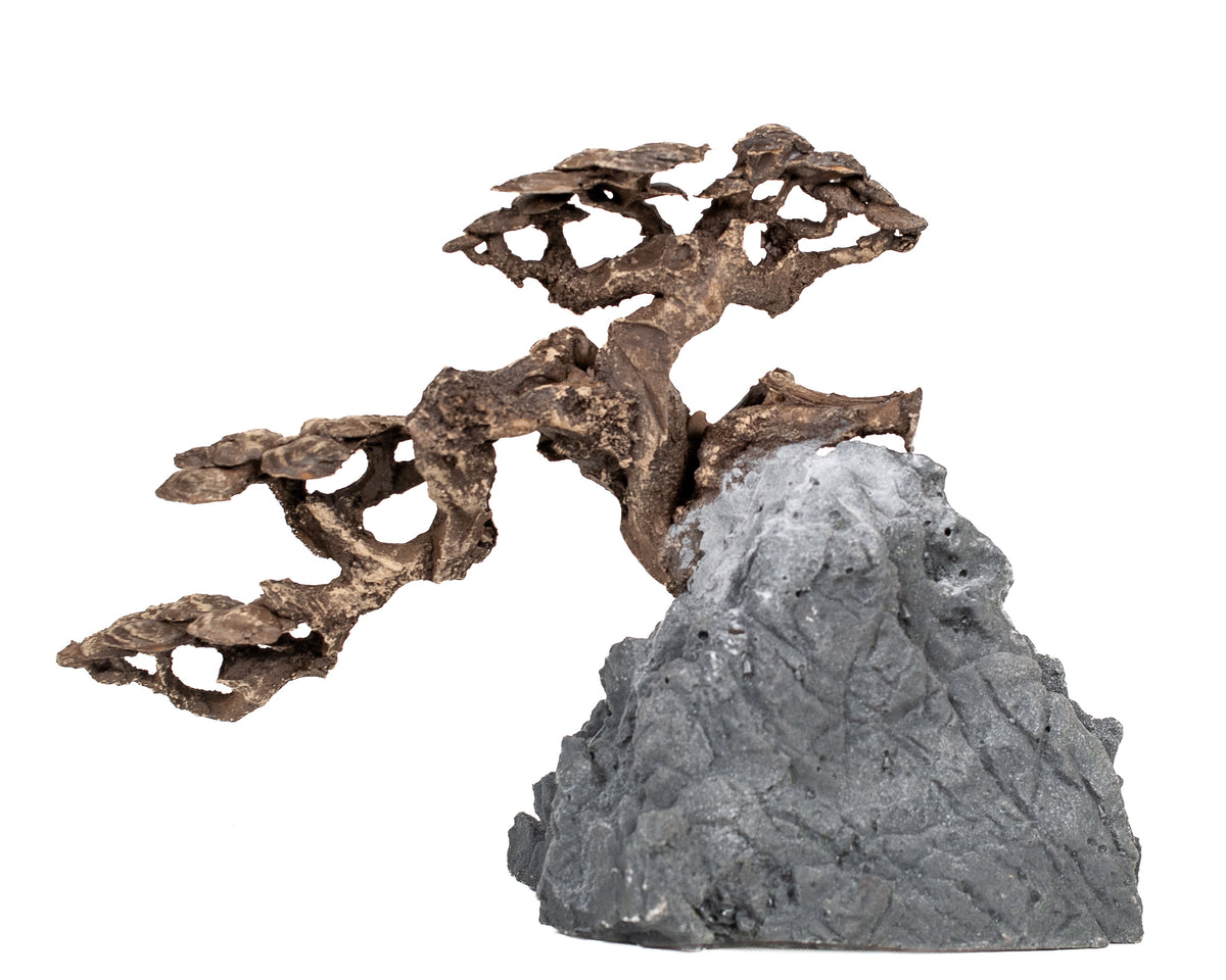 AQPET ZEN BONSAI DE RESINA 11