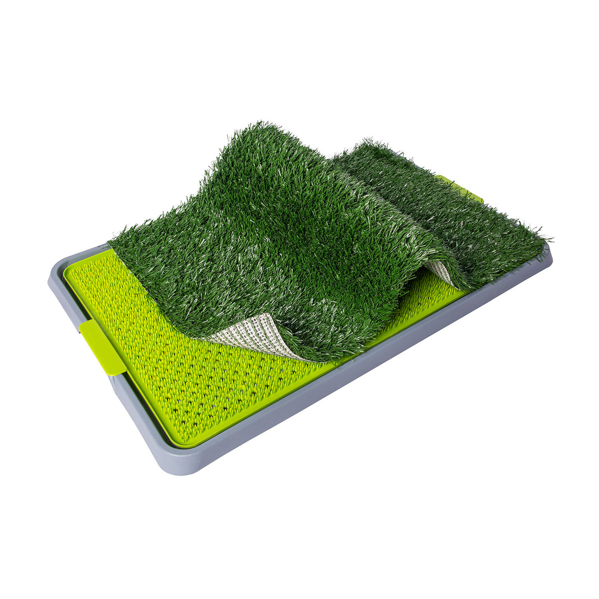 AQPET FRIENDS Bandeja DogLitter con césped sintético para las necesidades de perros cachorros 67x42x5 cm