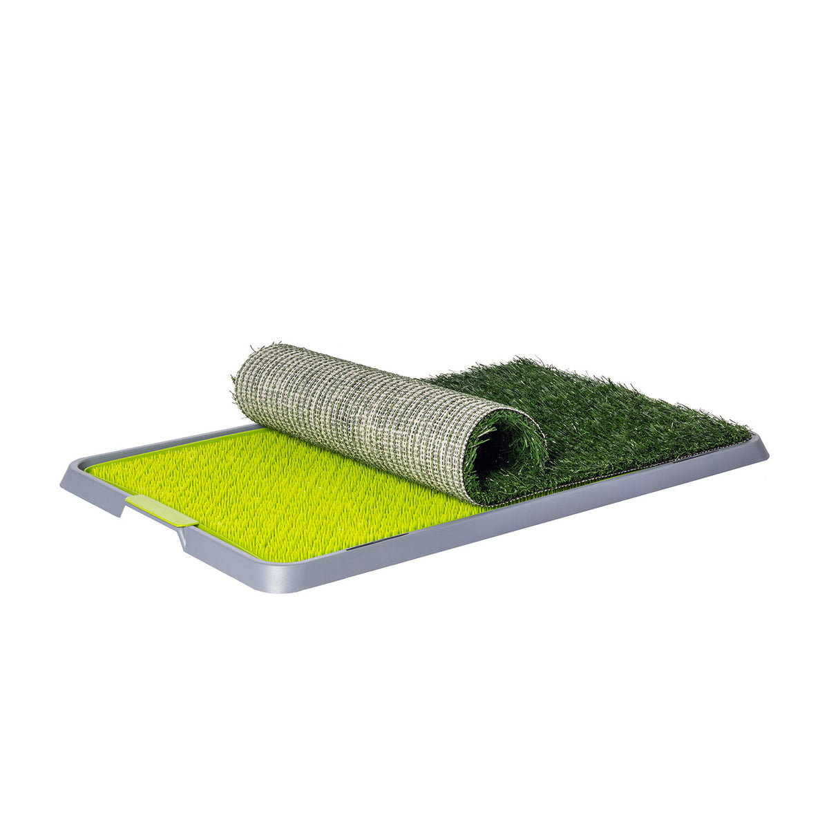 AQPET FRIENDS Bandeja DogLitter con césped sintético para las necesidades de perros cachorros 67x42x5 cm