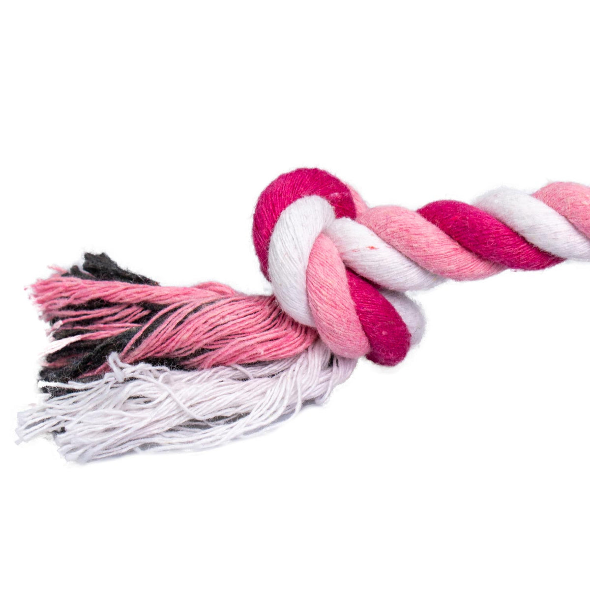 AQPET FRIENDS AQPET Juguete de cuerda para perros, cuerda de algodón, juego divertido para mascotas