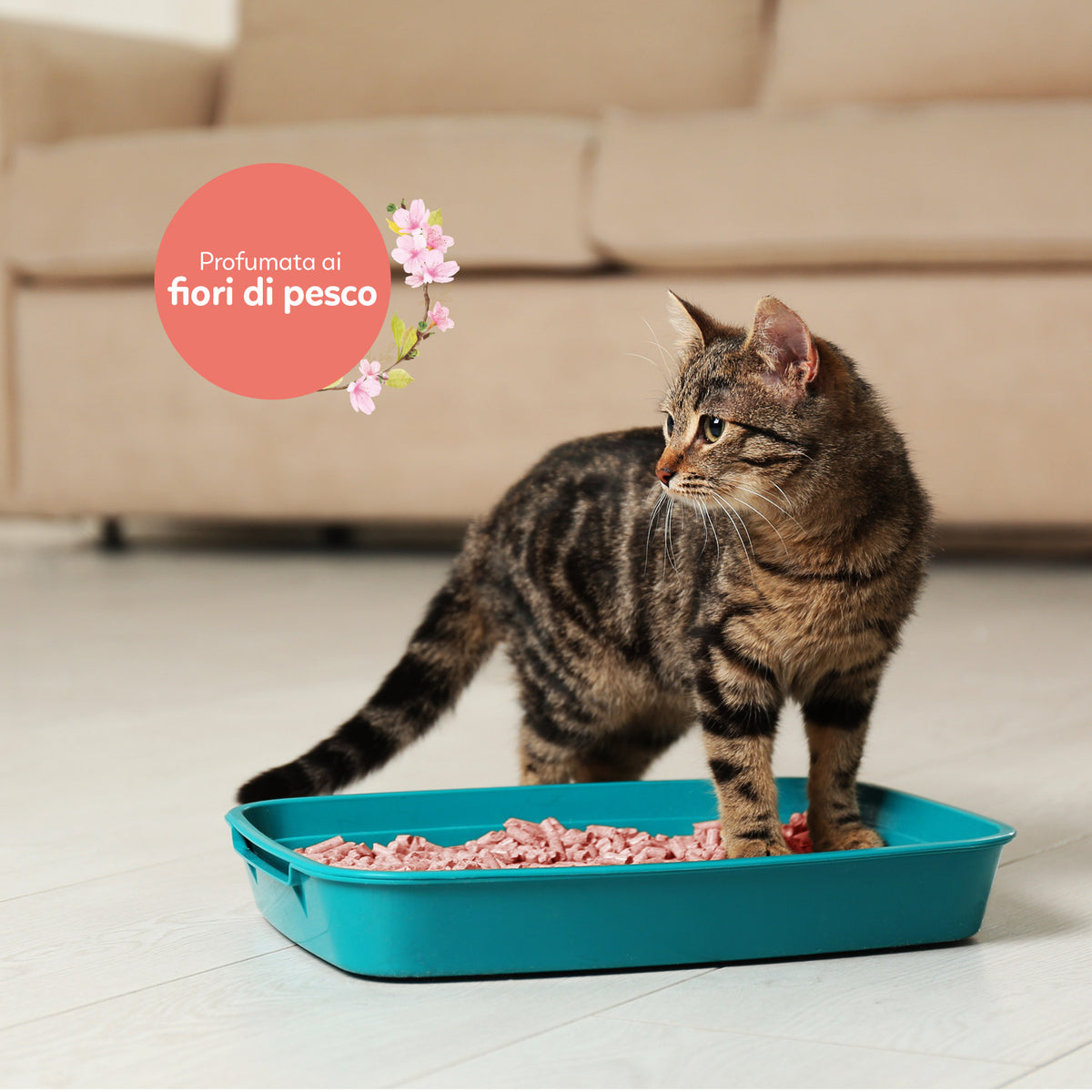 AQPET FRIENDS Catty Green arena para gatos de soja con aroma a flores de melocotón 6LT, superabsorbente, antiolores, higiene para gatos