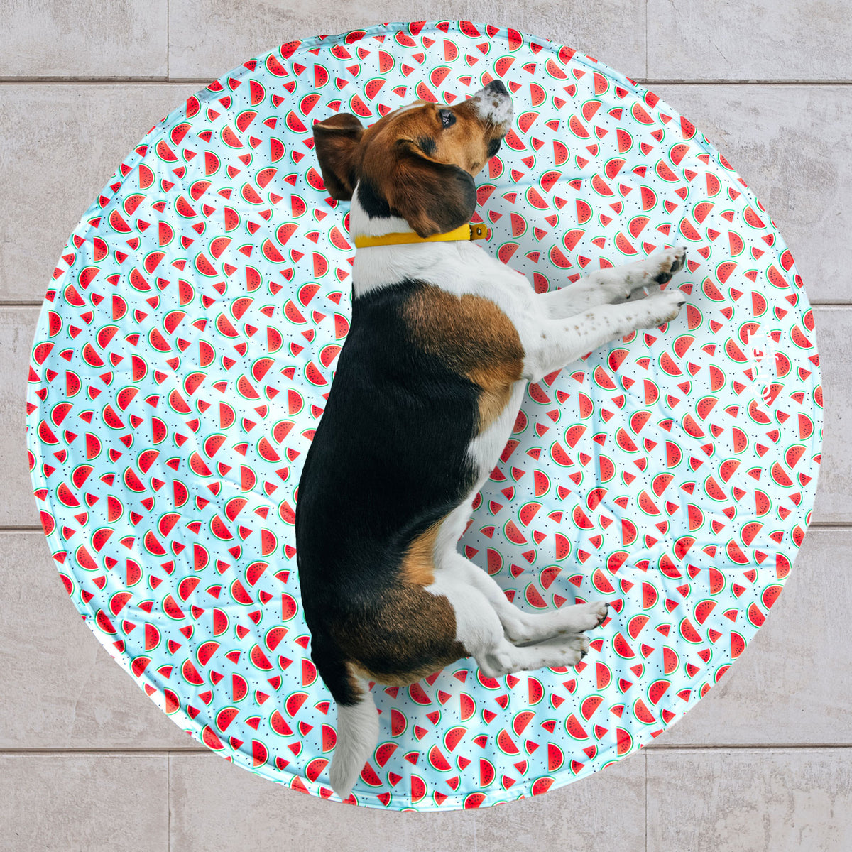 AQPET FRIENDS alfombrilla refrigerante refrescante redonda para perros, gel no tóxico, sistema de autorrefrigeración, diseño Fruit, diámetro de 60 Cm