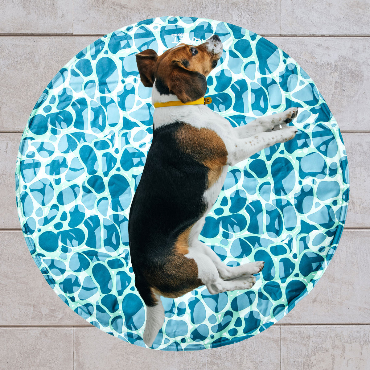 AQPET FRIENDS alfombrilla refrigerante refrescante redonda para perros, gel no tóxico, sistema de autorrefrigeración, diseño Sea, diámetro de 60 Cm