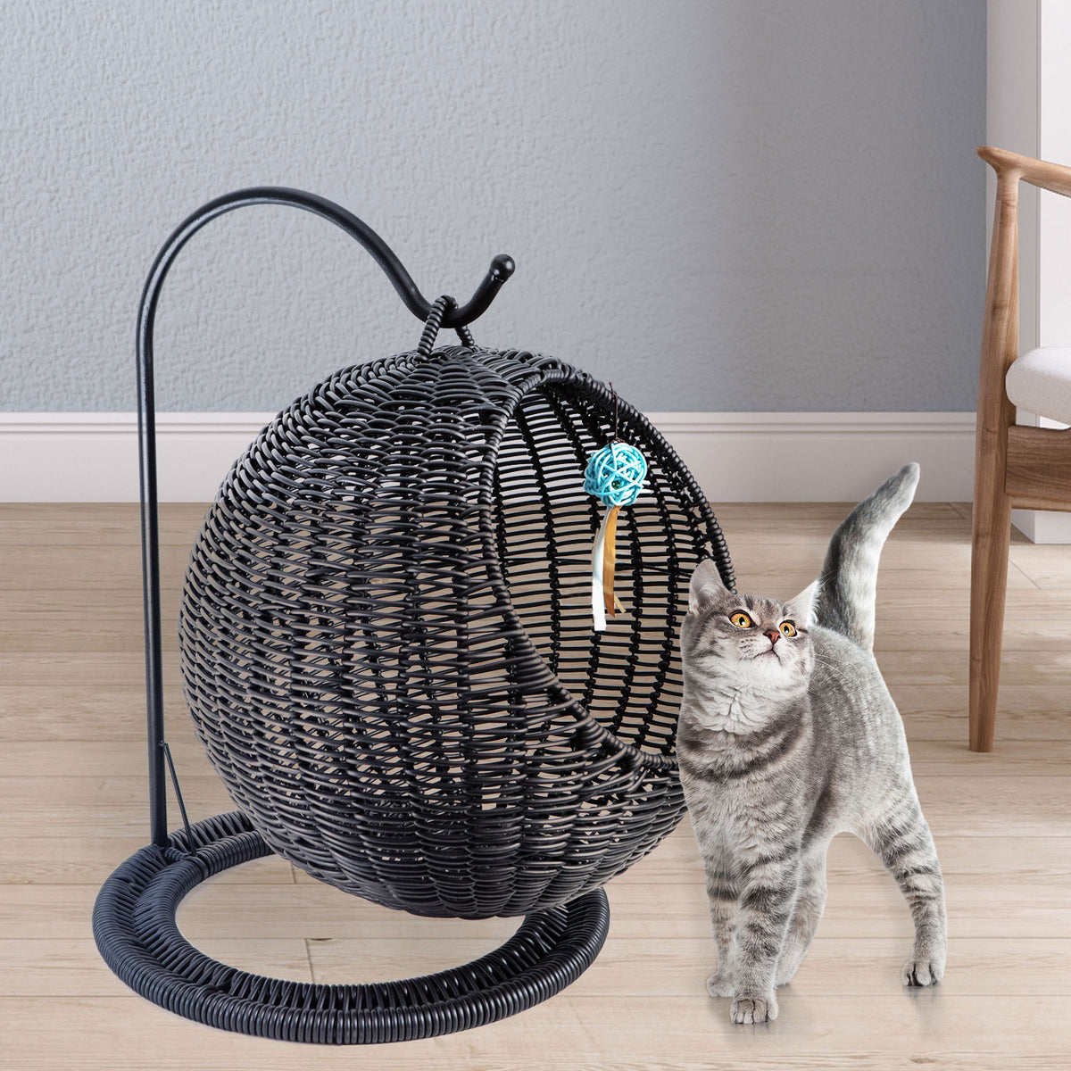 AQPET FRIENDS Morfeo Cama colgante para gatos y gatitos de mimbre trenzado a mano con cojín mullido incluido, color negro, 46x62 cm