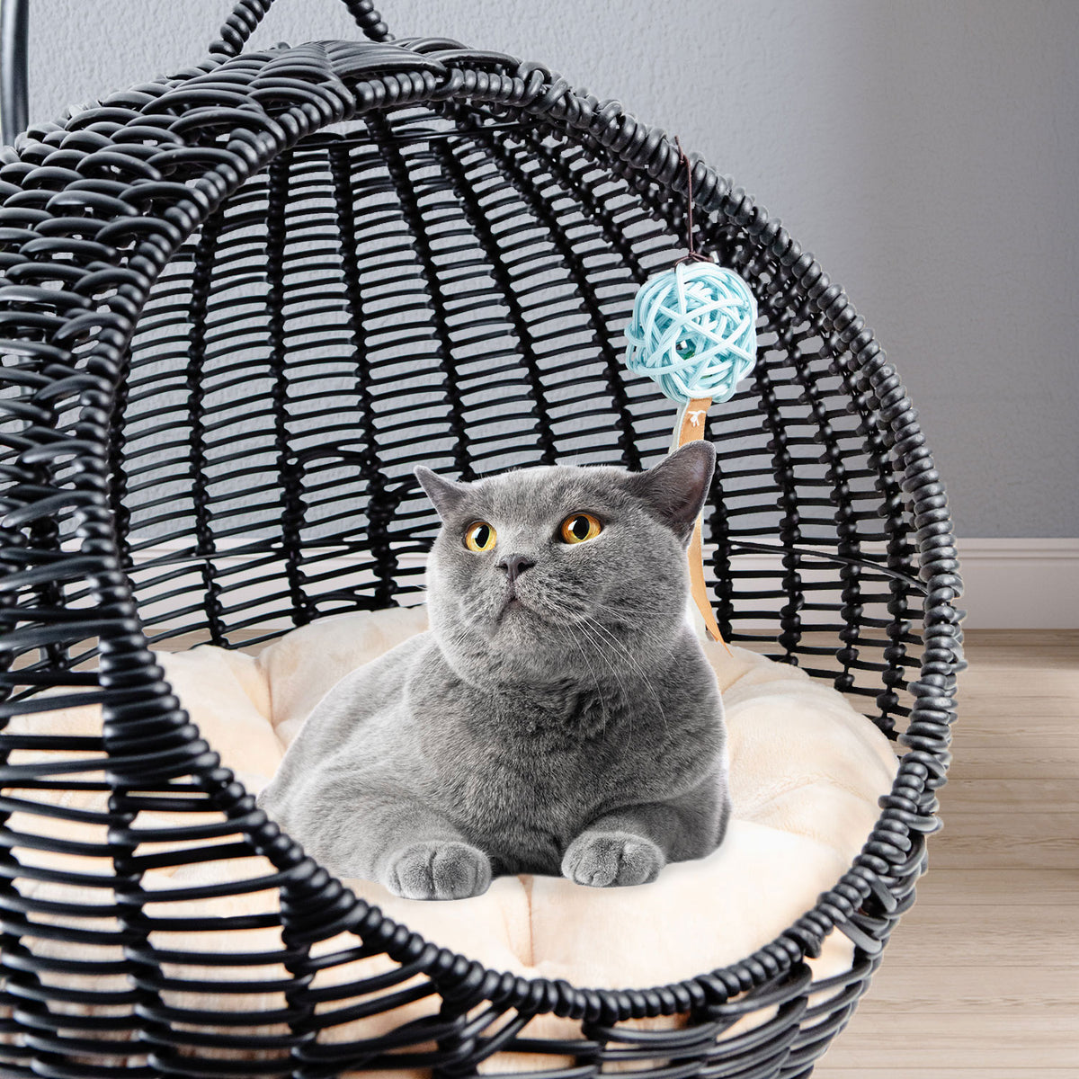 AQPET FRIENDS Morfeo Cama colgante para gatos y gatitos de mimbre trenzado a mano con cojín mullido incluido, color negro, 46x62 cm
