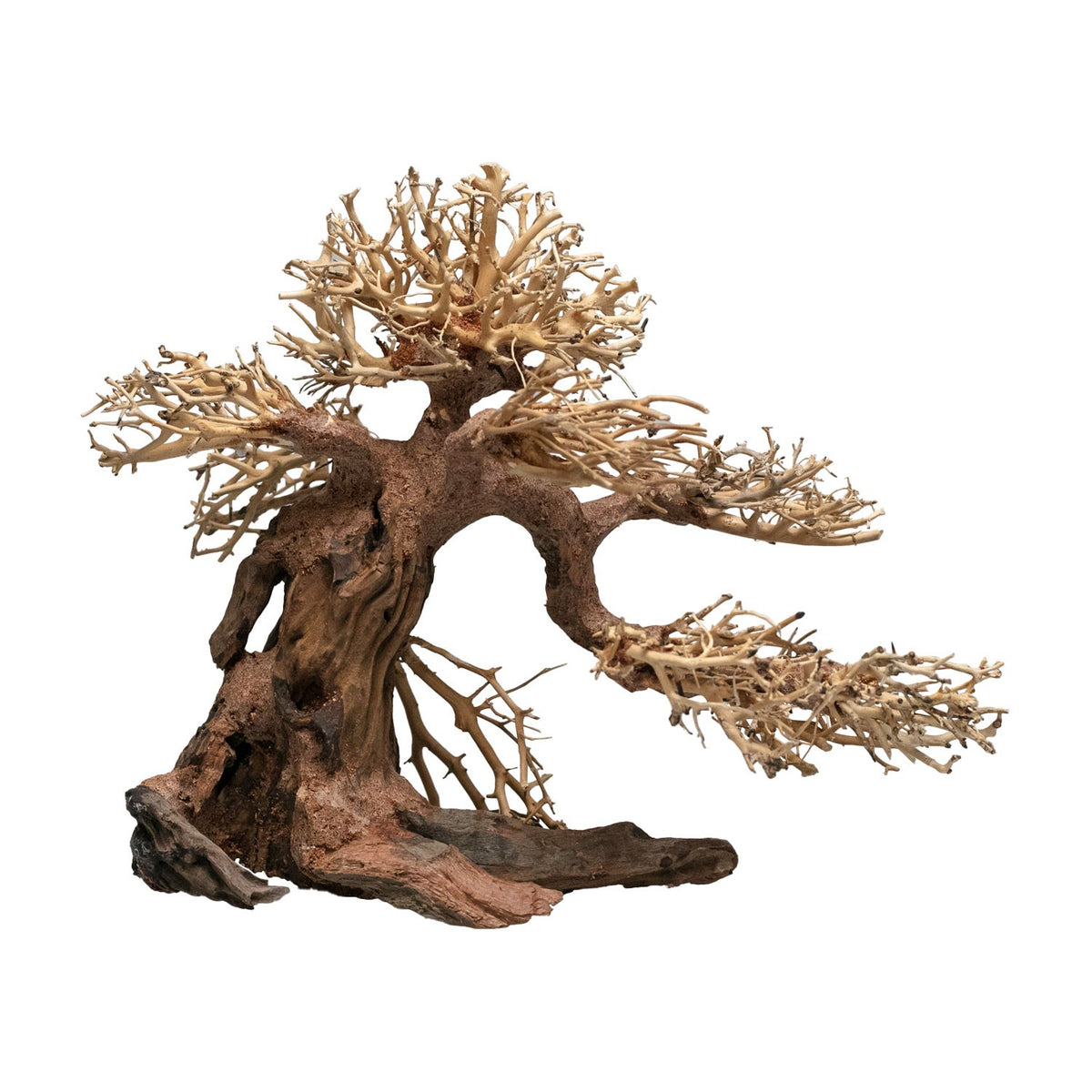 AQPET ZEN BONSAI MADERA