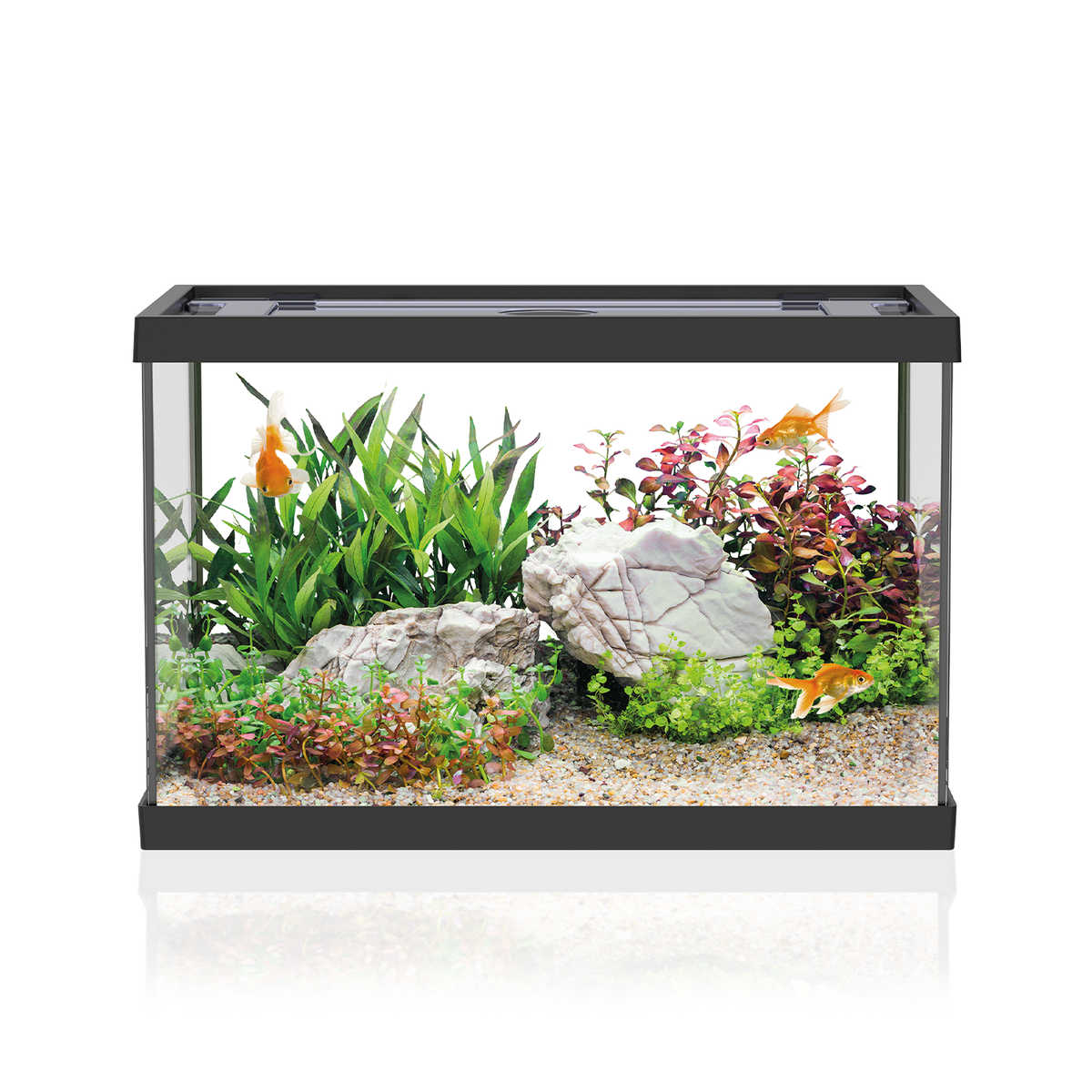 AQPET ACUARIO ONE MINI DE VIDRIO 20 L 39x22x26h NEGRO