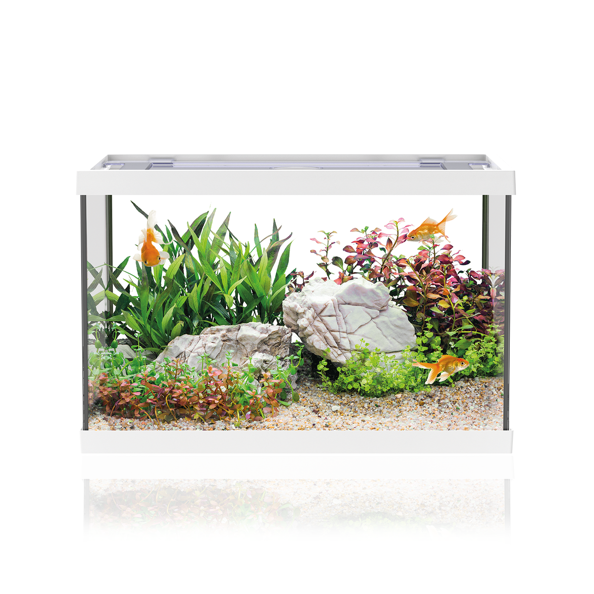 AQPET ACUARIO ONE MINI DE VIDRIO 20 LT 39x22x26h BLANCO