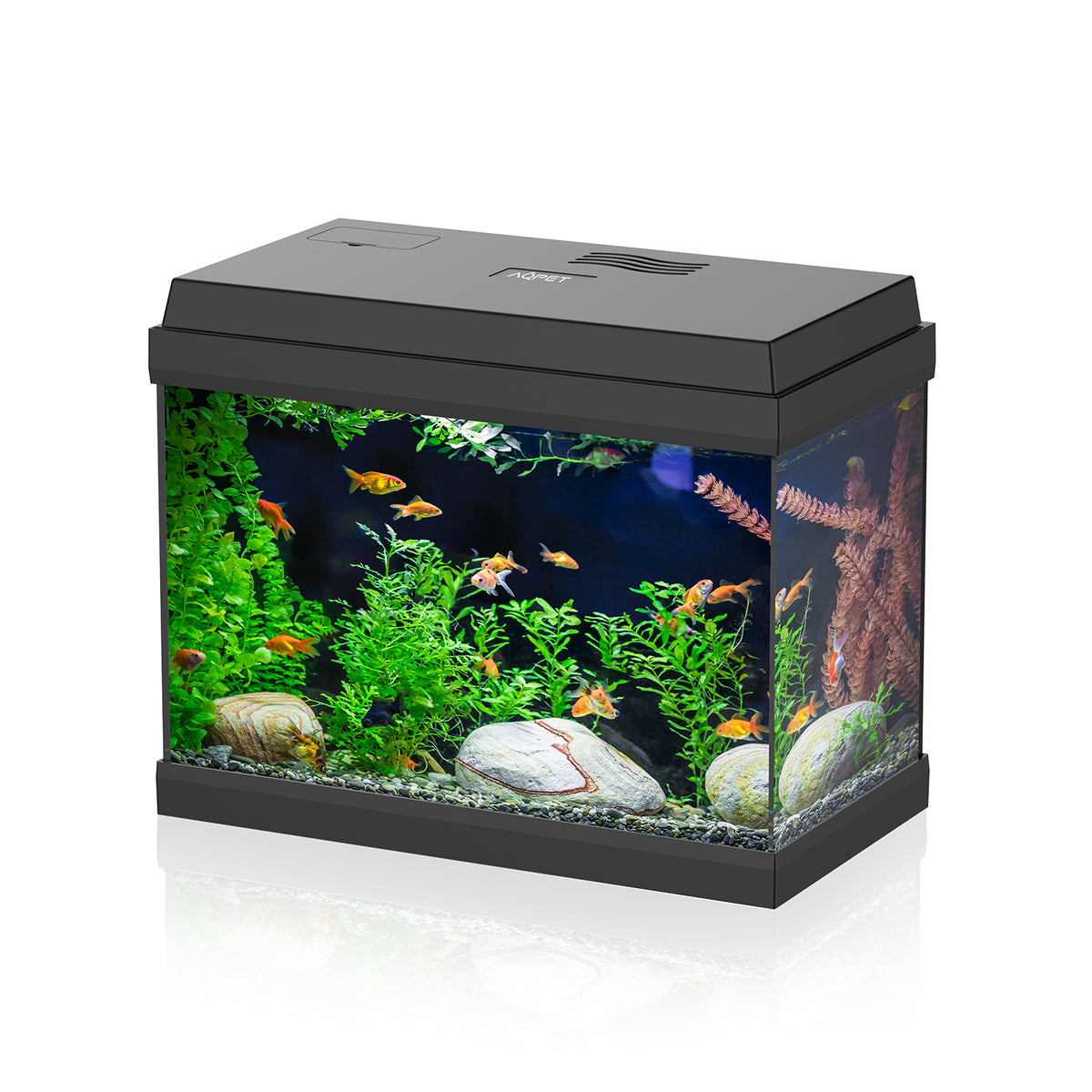 AQPET ACUARIO SIMPLY LED 30 NEGRO, COMPLETO CON LUZ Y FILTRO - 39X22X30 H CM