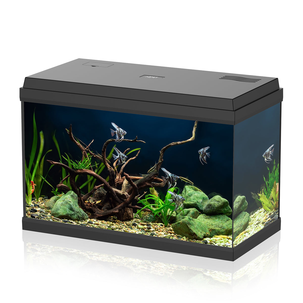 AQPET ACUARIO SIMPLY LED 60 NEGRO, COMPLETO CON LUZ, FILTRO Y CALENTADOR - 59X30X39 H CM