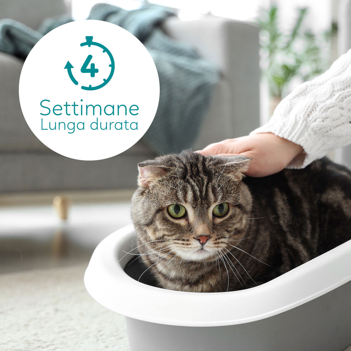 AQPET FRIENDS Bandeja sanitaria de sílice Catty con aroma a talco para gatos Súper absorbente Control de olores Higiene felina