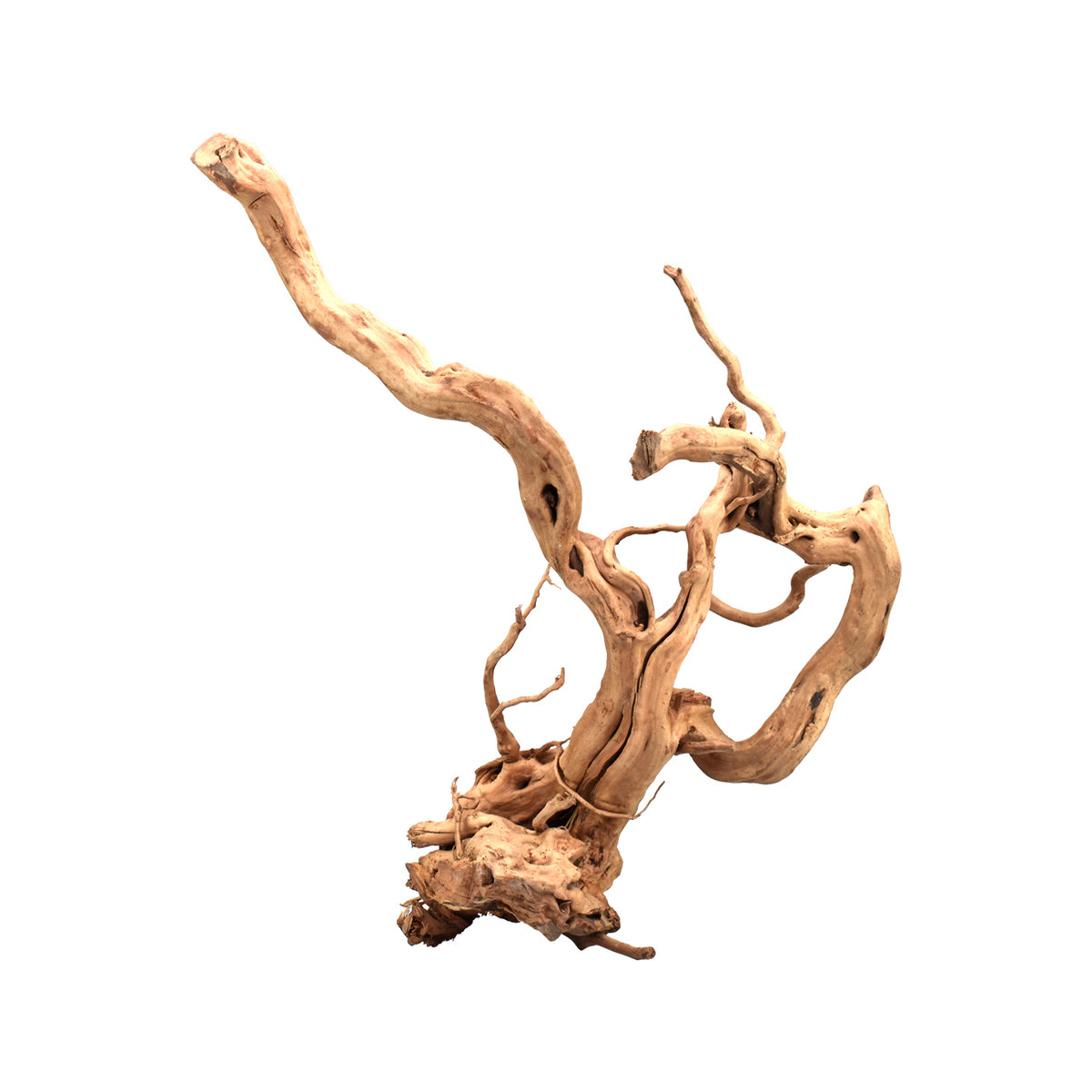 AQPET ZEN WOOD ROOT RAÍZ DE MADERA SELECTA