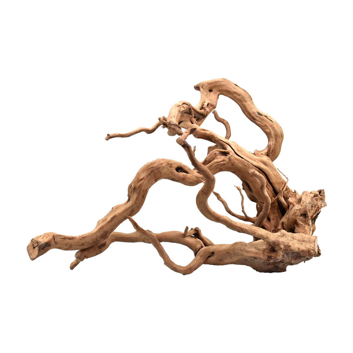 AQPET ZEN WOOD ROOT RAÍZ DE MADERA SELECTA