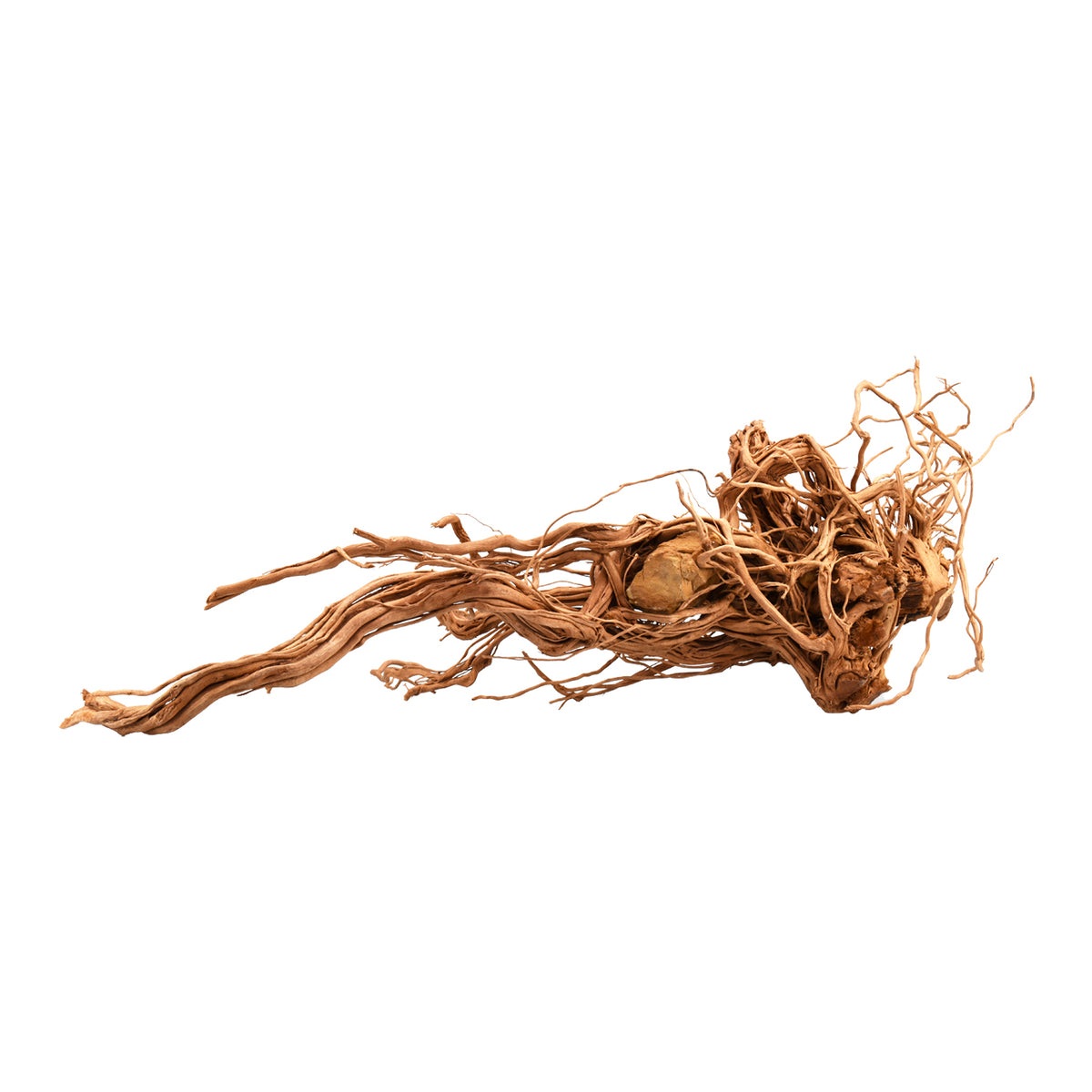 AQPET ZEN WOOD AZALEA DRAGON RAÍZ DE MADERA SELECTA