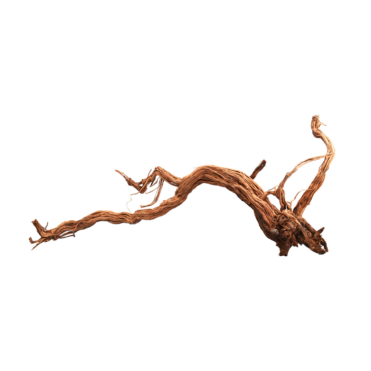 AQPET ZEN WOOD AZALEA DRAGON RAÍZ DE MADERA SELECTA