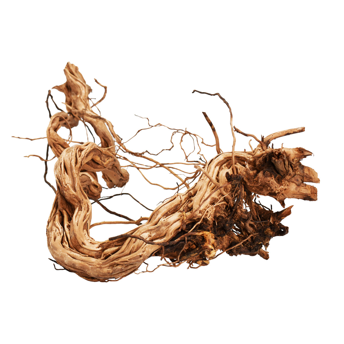 AQPET ZEN WOOD AZALEA DRAGON RAÍZ DE MADERA SELECTA