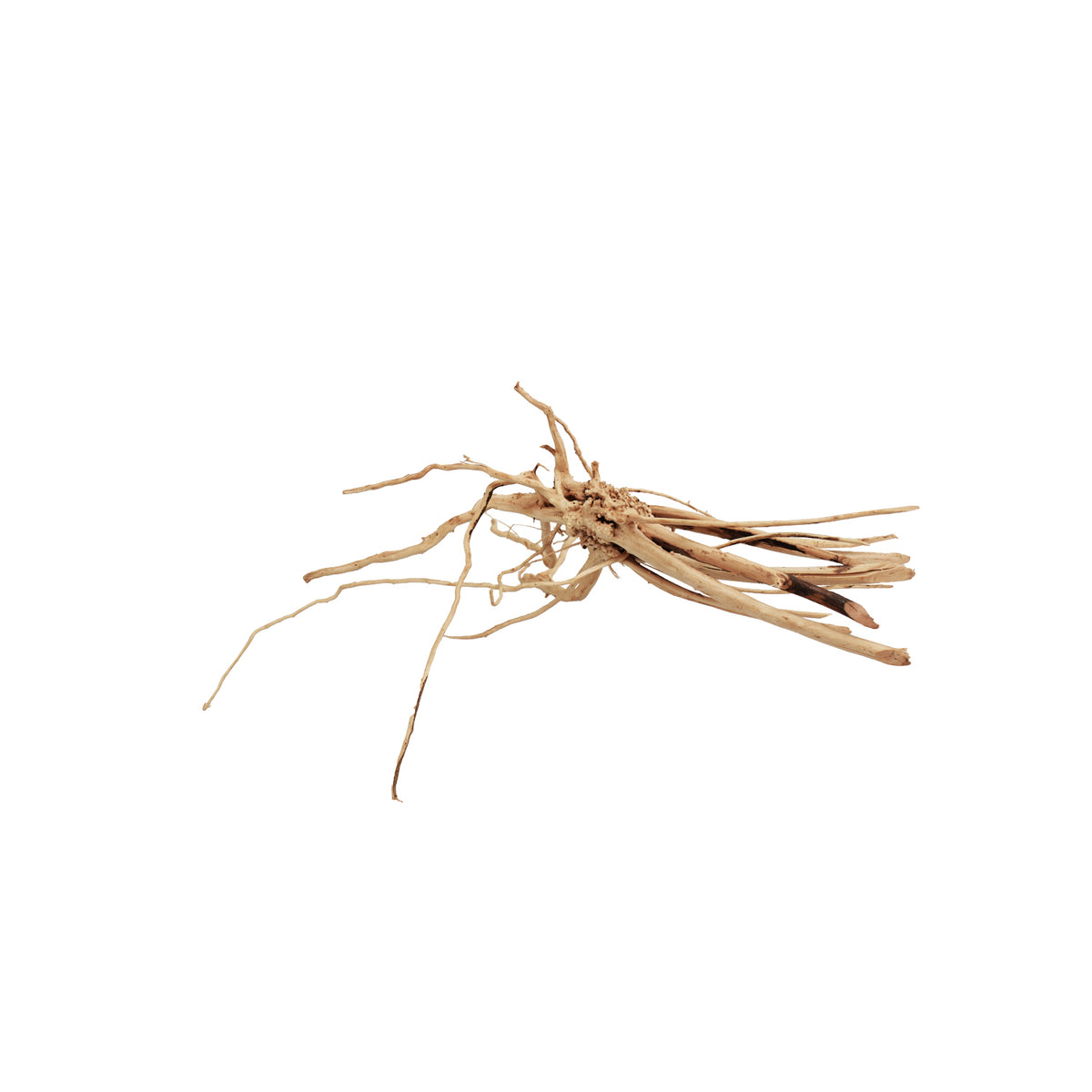 AQPET ZEN WOOD SLIM RAÍZ DE MADERA SELECTA