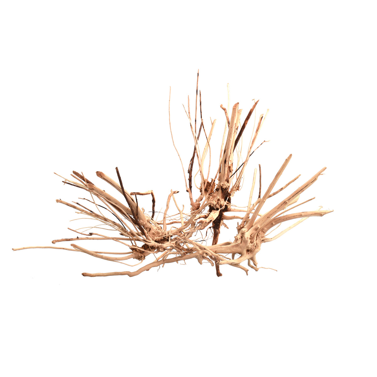 AQPET ZEN WOOD SLIM RAÍZ DE MADERA SELECTA