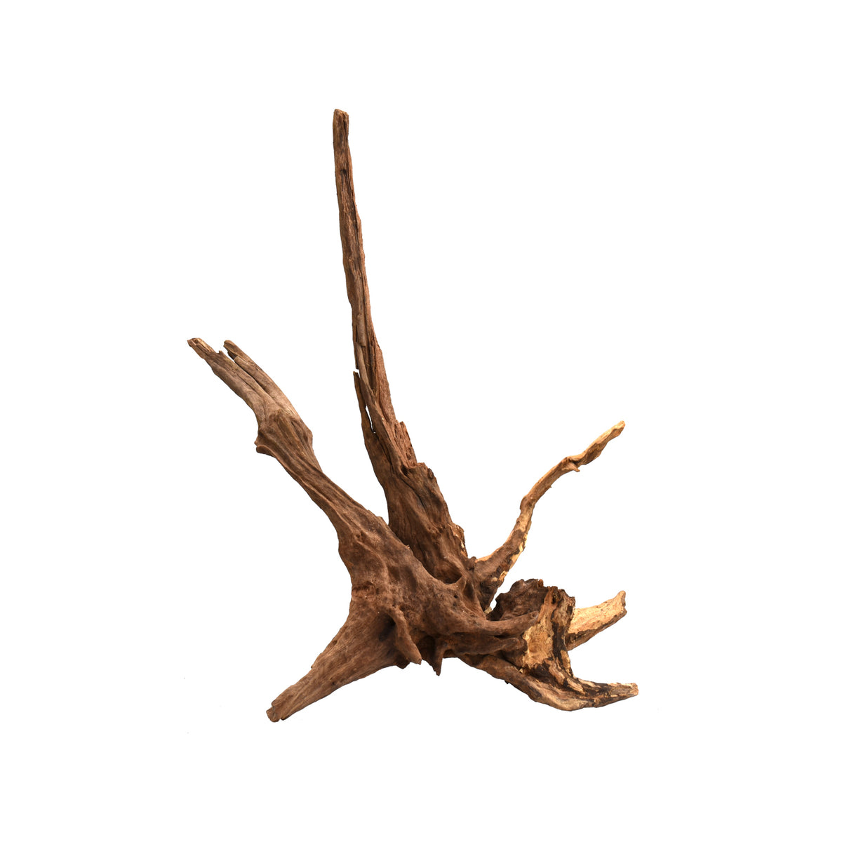 AQPET ZEN WOOD DRIFT RAÍZ DE MADERA