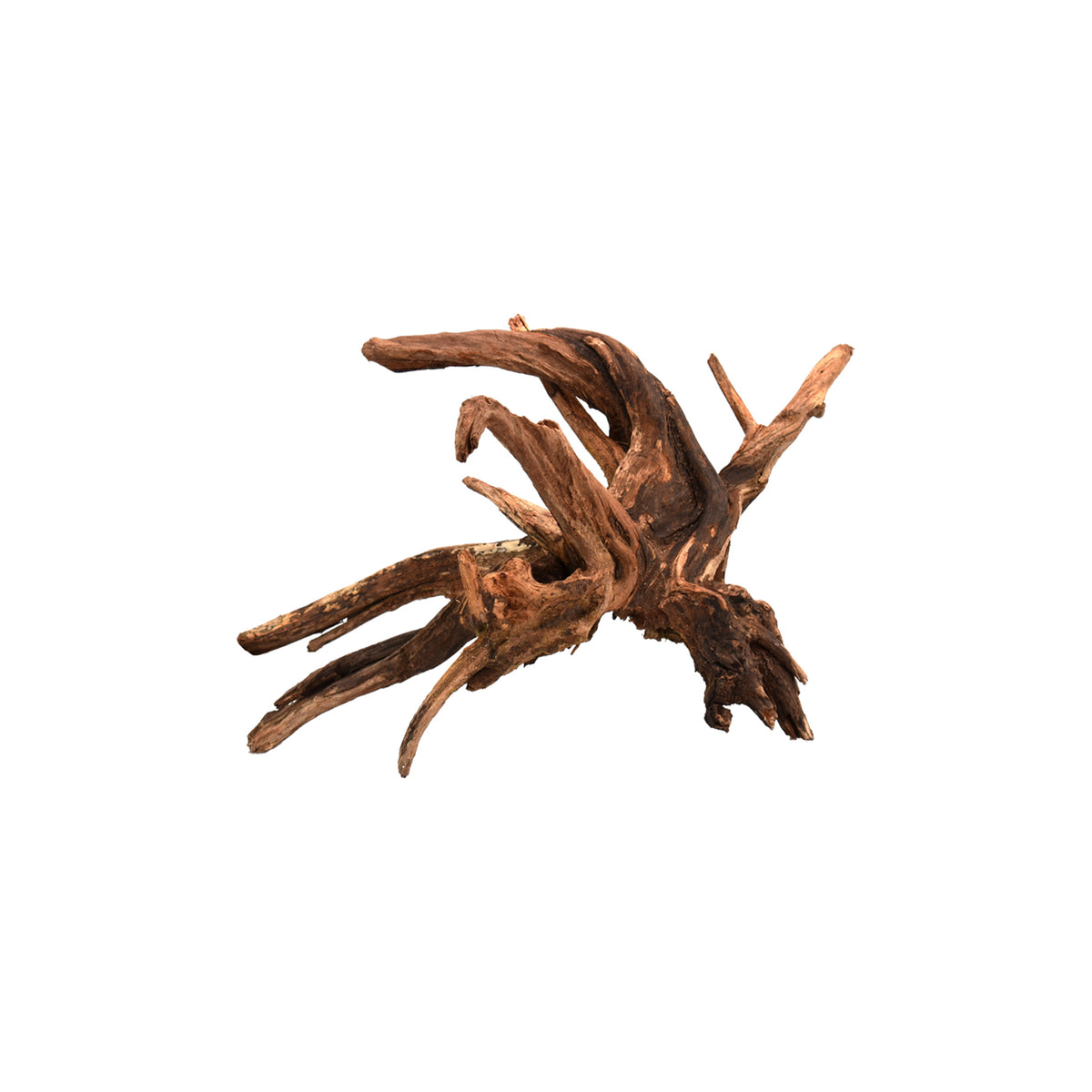 AQPET ZEN WOOD DRIFT RAÍZ DE MADERA