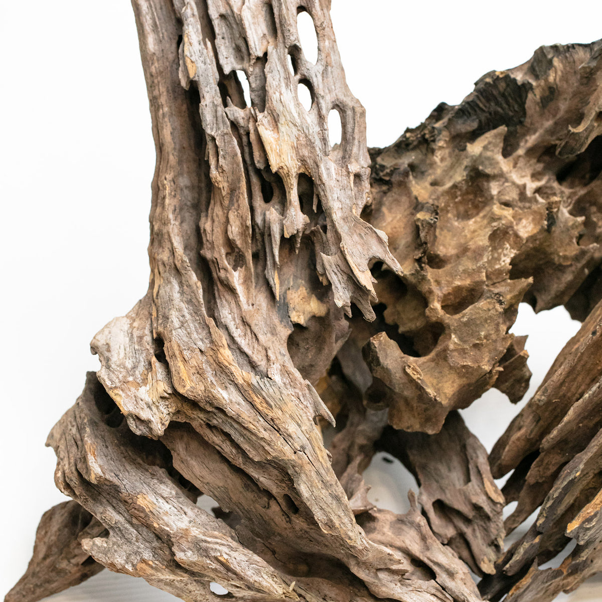 AQPET ZEN WOOD MADERA DE DRAGÓN