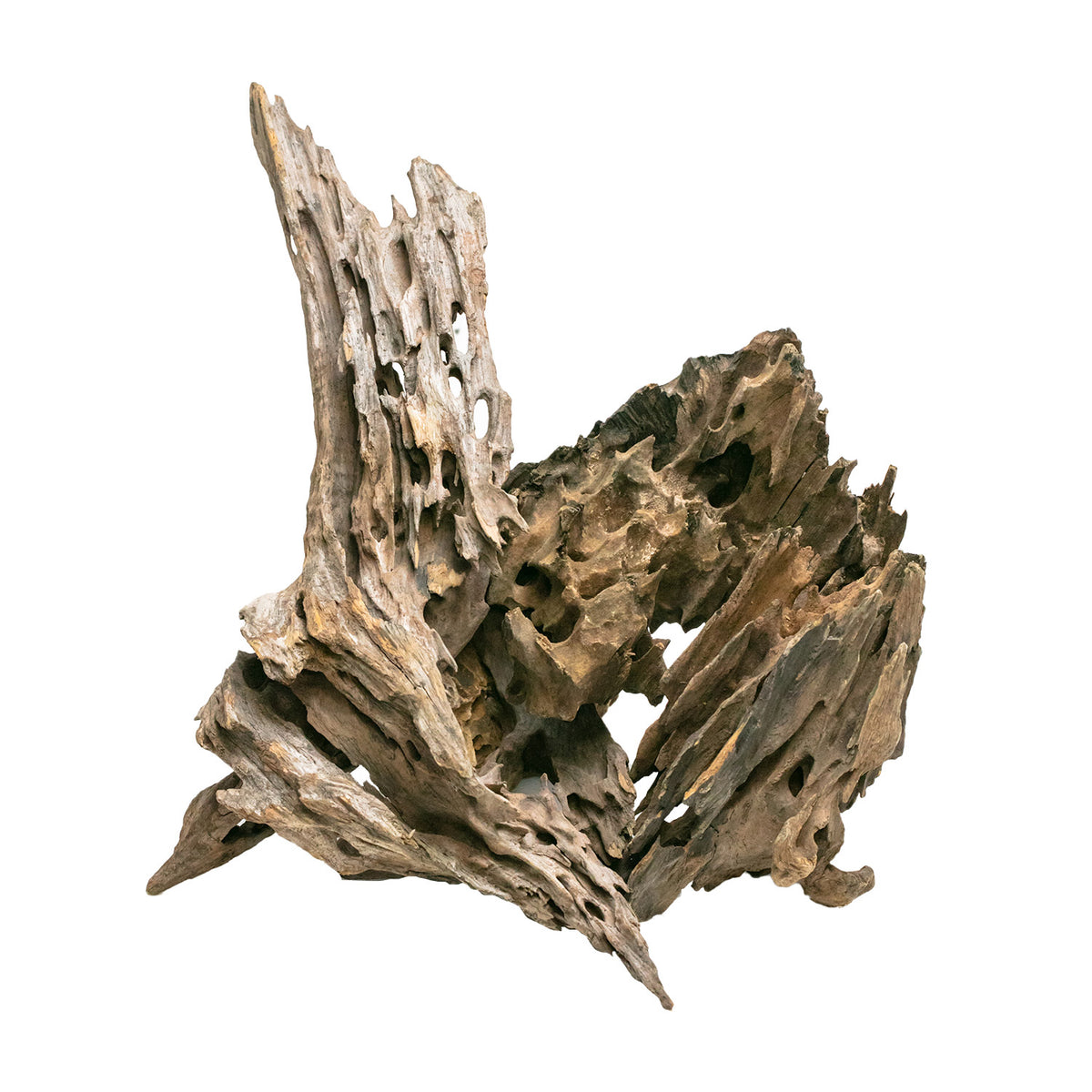 AQPET ZEN WOOD MADERA DE DRAGÓN