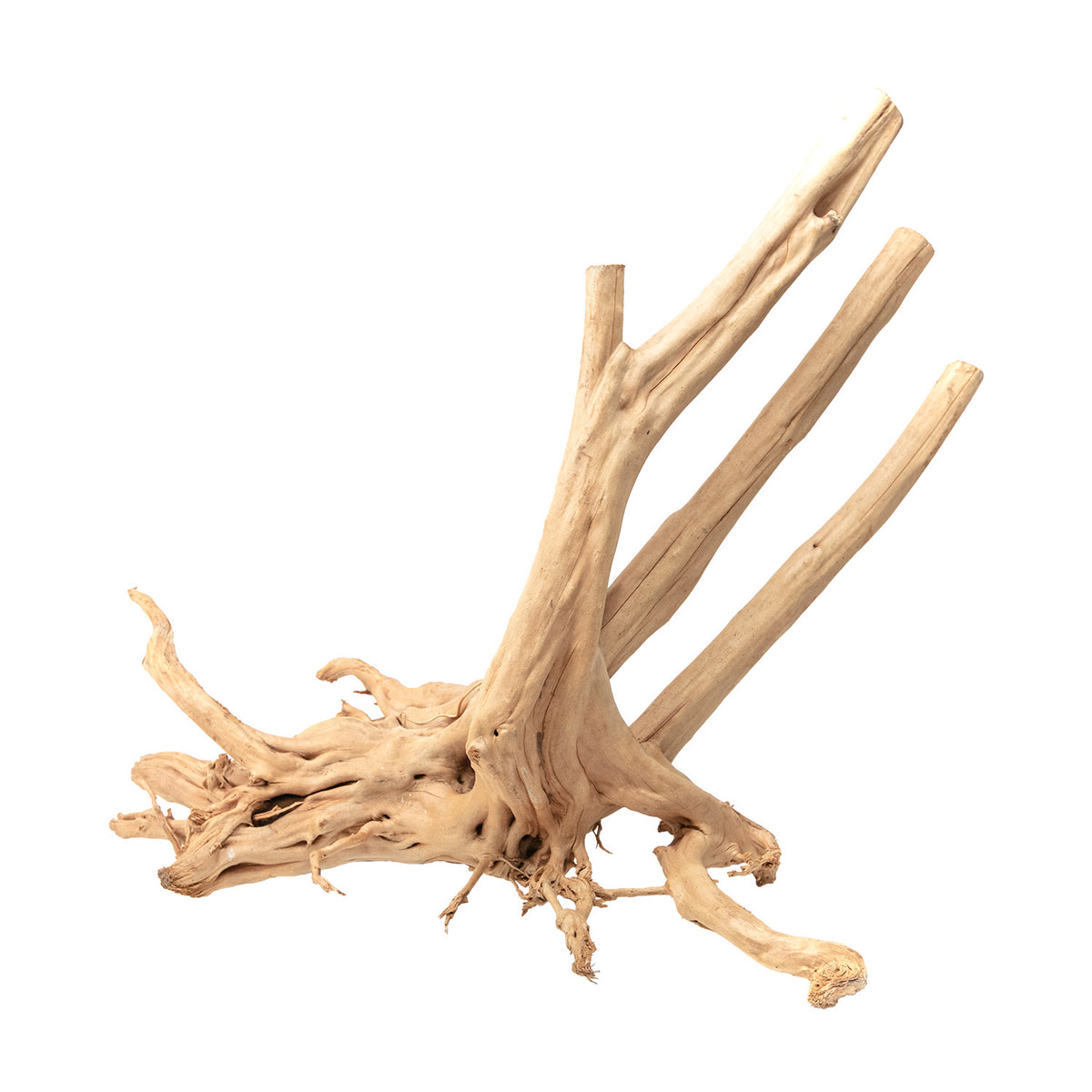 AQPET ZEN WOOD TOCÓN