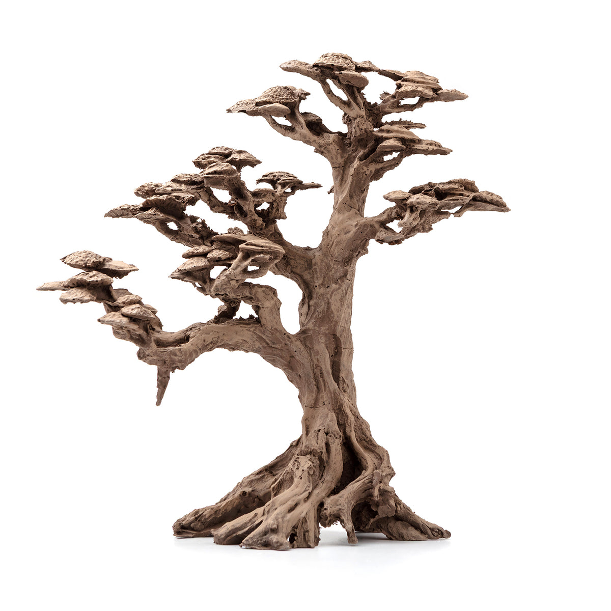 AQPET ZEN BONSAI DE RESINA 4