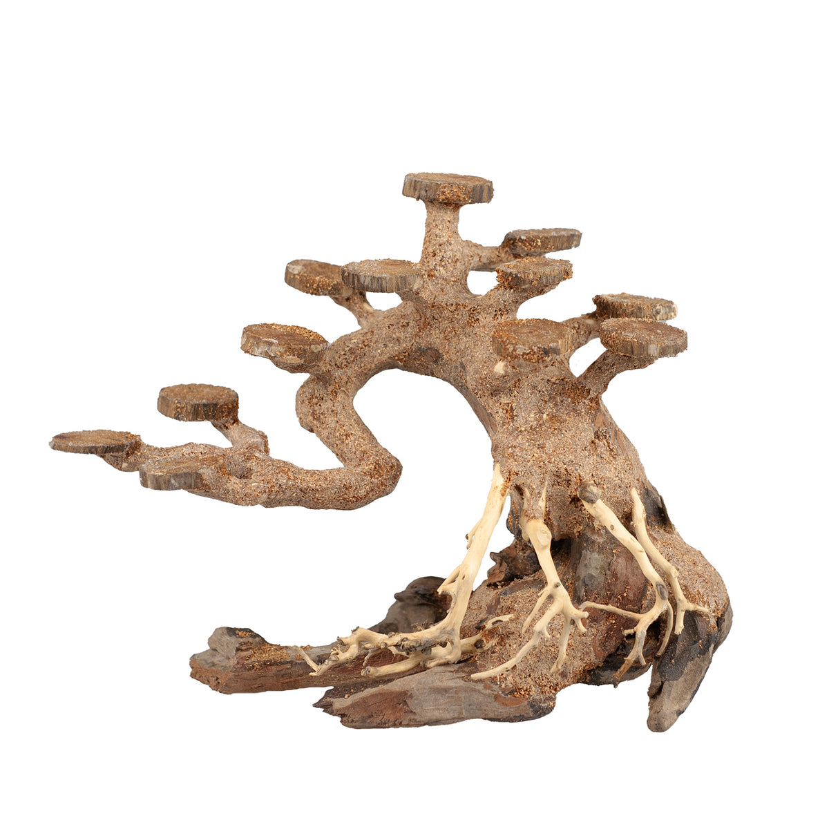 AQPET ZEN BONSAI ÁRBOL