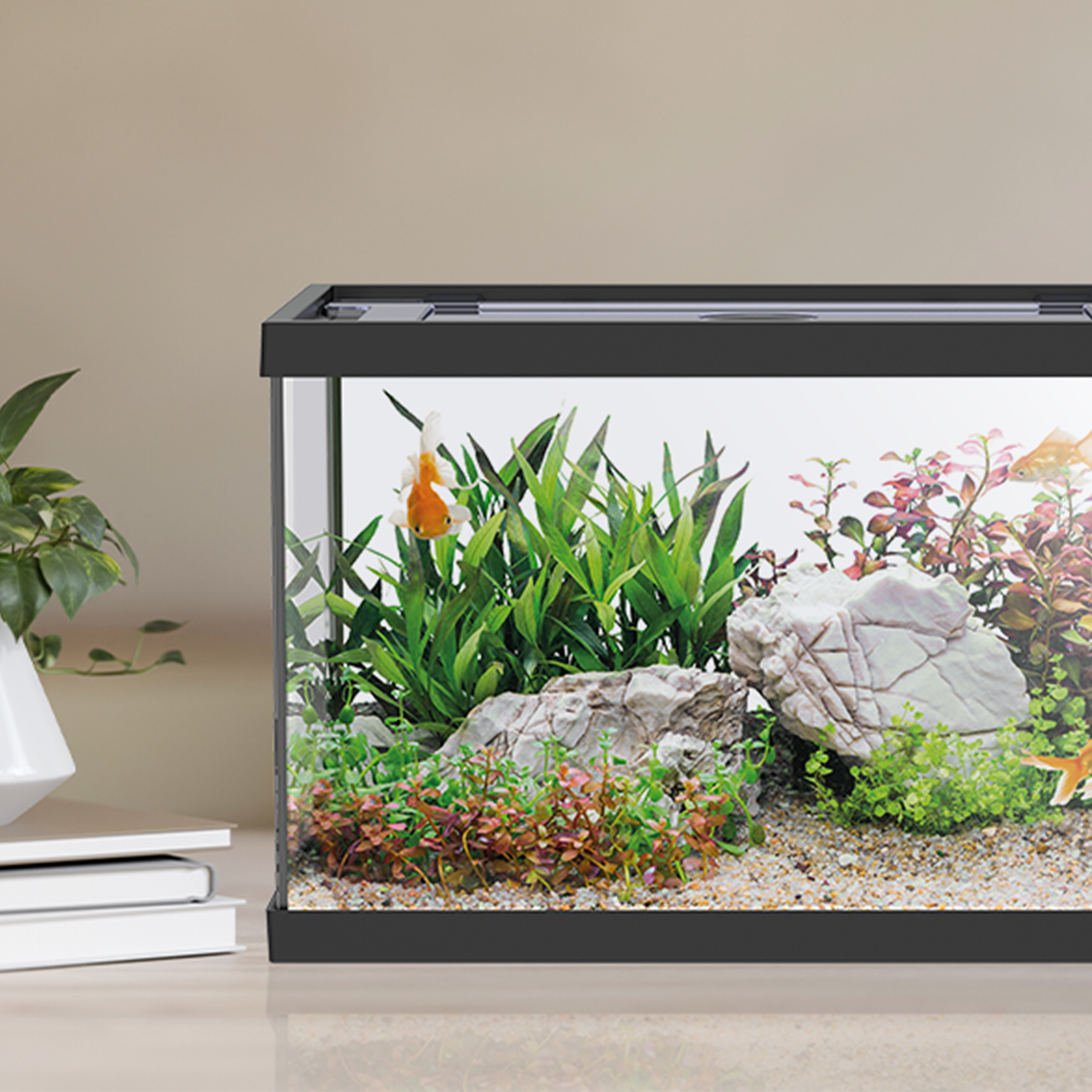 AQPET ACUARIO ONE MINI DE VIDRIO 20 L 39x22x26h NEGRO