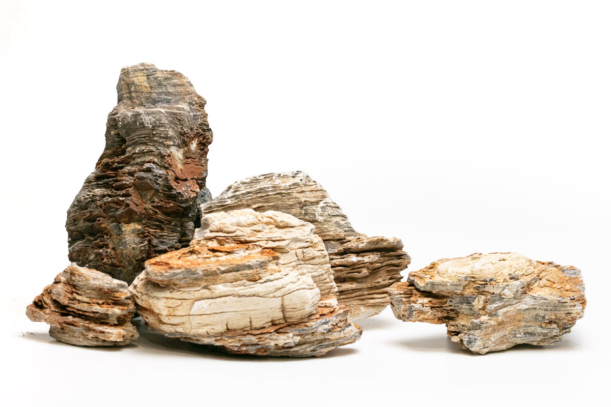 AQPET ZEN STONE ROCAS CAÑÓN (CONF.20KG MIXTO) 300GR /3 KG