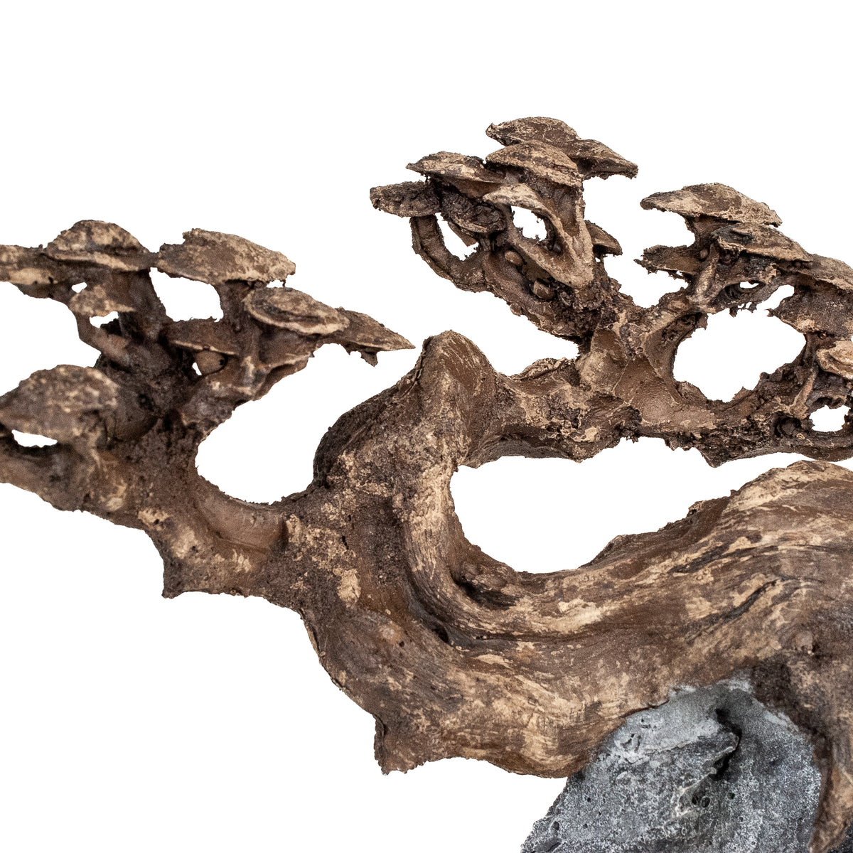 AQPET ZEN BONSAI DE RESINA 10