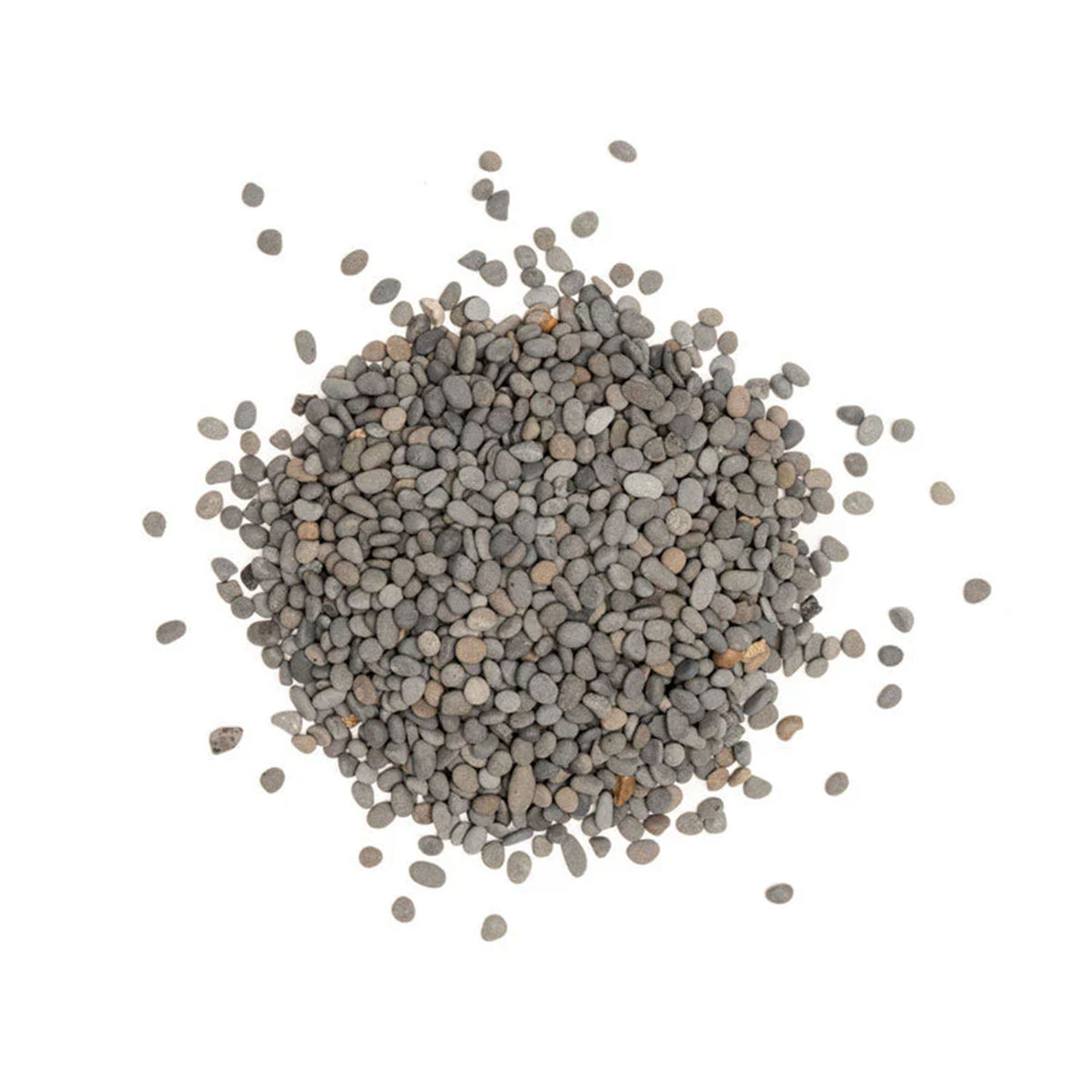 AQPET WILD SAND ARENA NATURAL 5 KG - NATURAL LAGOON