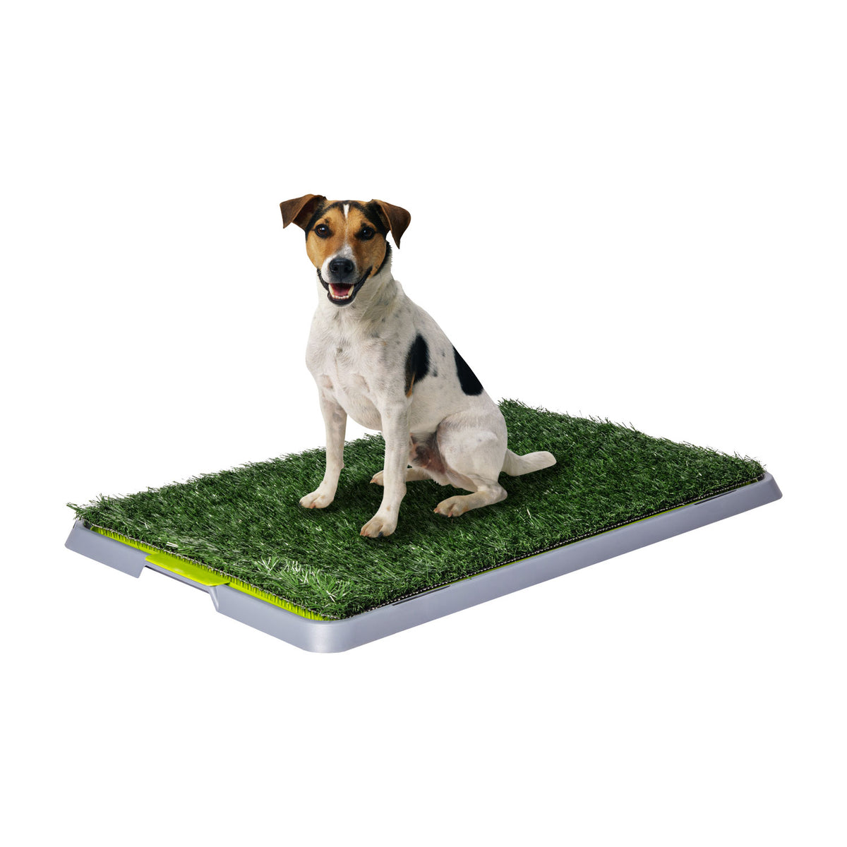 AQPET FRIENDS Bandeja DogLitter con césped sintético para las necesidades de perros cachorros 67x42x5 cm