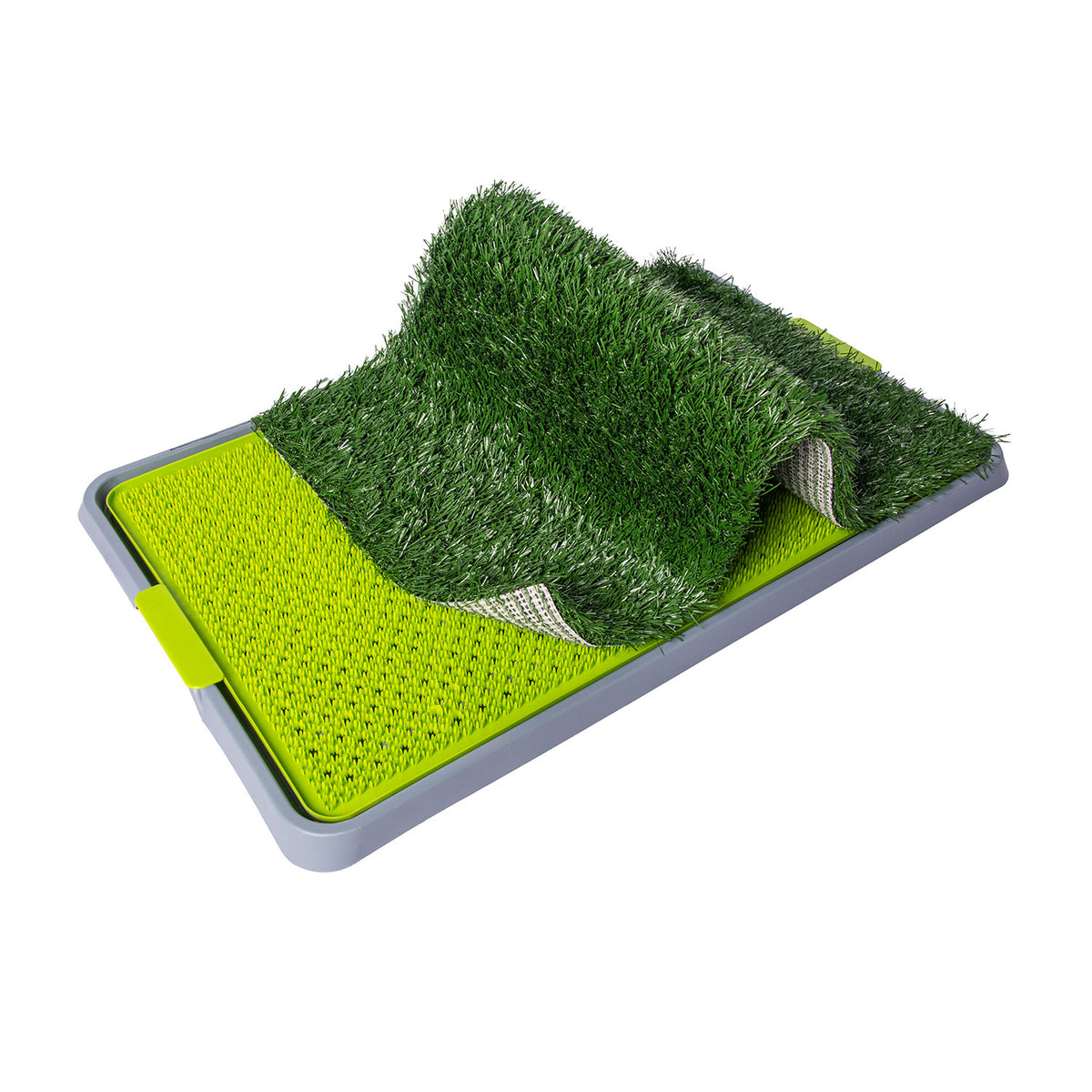 AQPET FRIENDS Bandeja DogLitter con césped sintético para las necesidades de perros cachorros 67x42x5 cm