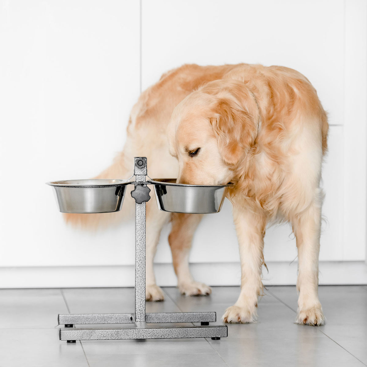 AQPET FRIENDS Gnammy Soporte H con 2 cuencos elevados de acero inoxidable, altura regulable, para perros, gatos y animales pequeños