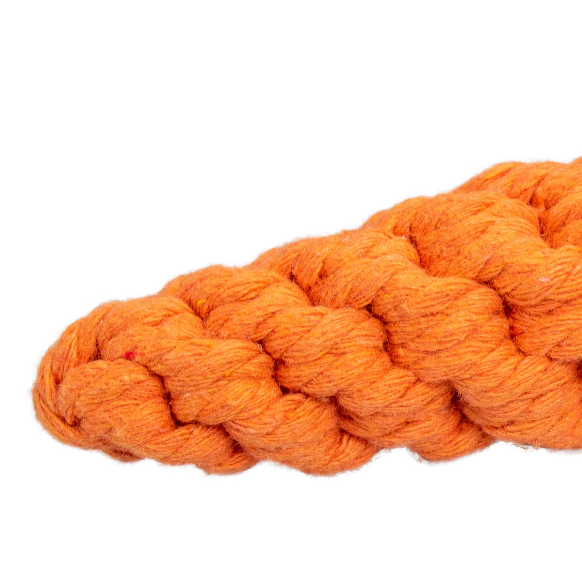AQPET FRIENDS AQPET Juguete de cuerda para perros, zanahoria de cuerda de algodón, 21 X 4CM, juego divertido para mascotas