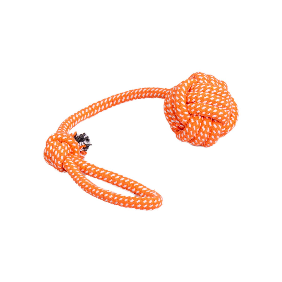 AQPET FRIENDS AQPET Juguete de cuerda para perros, cuerda con pelota de algodón, 41 X 7 Cm, juego divertido para mascotas