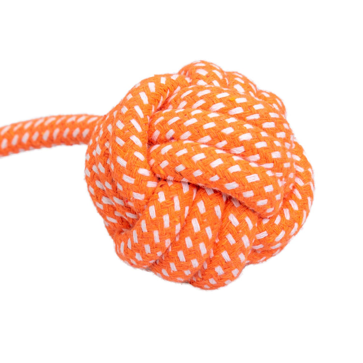 AQPET FRIENDS AQPET Juguete de cuerda para perros, cuerda con pelota de algodón, 41 X 7 Cm, juego divertido para mascotas
