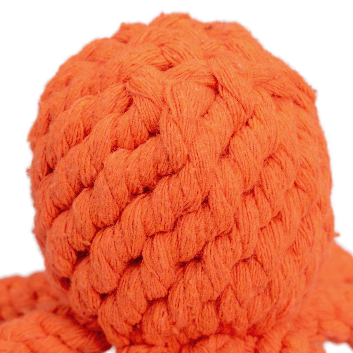 AQPET FRIENDS AQPET juguetes para perros Rope pulpo de cuerda de algodón 10X6.5CM, juego para perros, diversión para mascotas