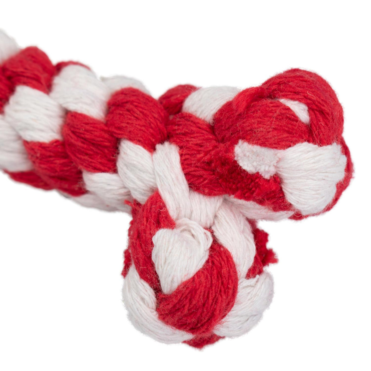 AQPET FRIENDS AQPET Juguete de cuerda para perros, hueso de cuerda de algodón, juego divertido para mascotas