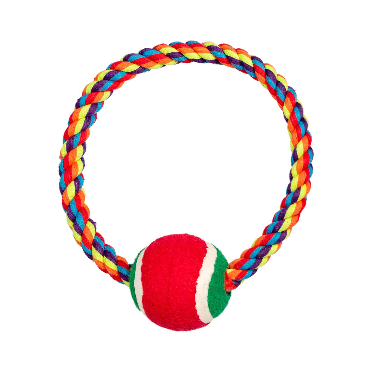 AQPET FRIENDS AQPET juguetes para perros Smarty aro de cuerda con pelotita 20 X 7 Cm, juego para perros, diversión para mascotas