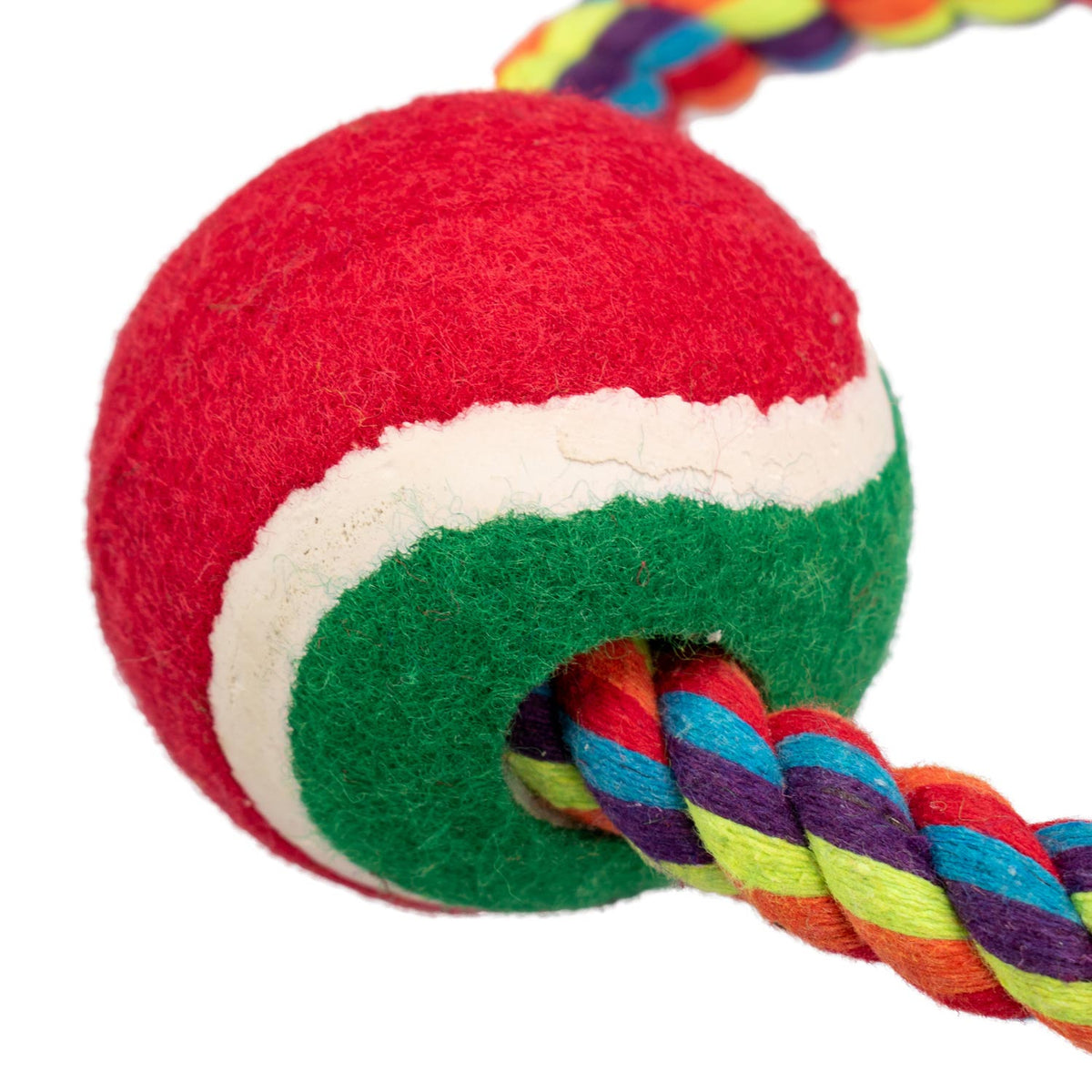 AQPET FRIENDS AQPET juguetes para perros Smarty aro de cuerda con pelotita 20 X 7 Cm, juego para perros, diversión para mascotas