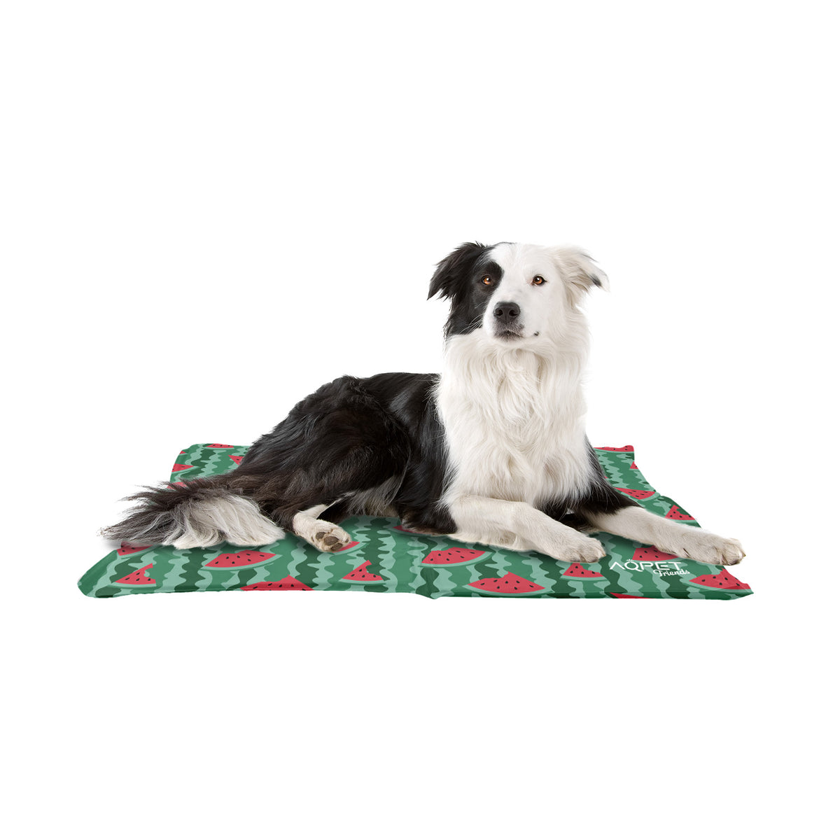 AQPET FRIENDS alfombrilla refrigerante refrescante para perros, gatos y animales, gel no tóxico, diseño Fruit
