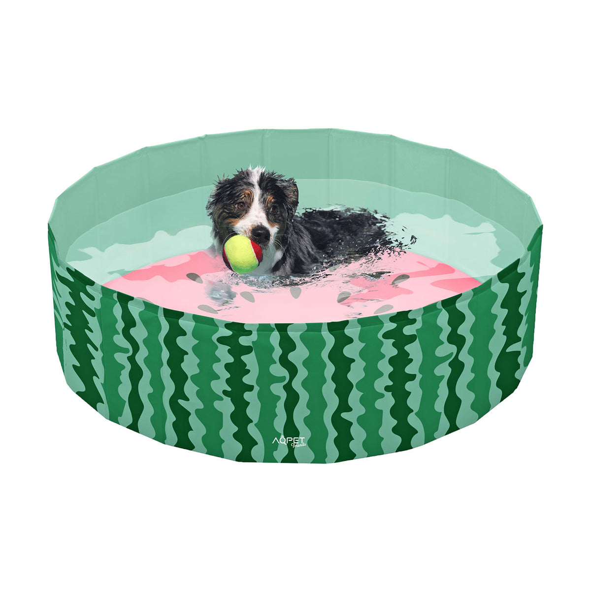 AQPET FRIENDS Pool piscina para perros con diseño Fruit, plegable, resistente a los arañazos, para exteriores y jardín